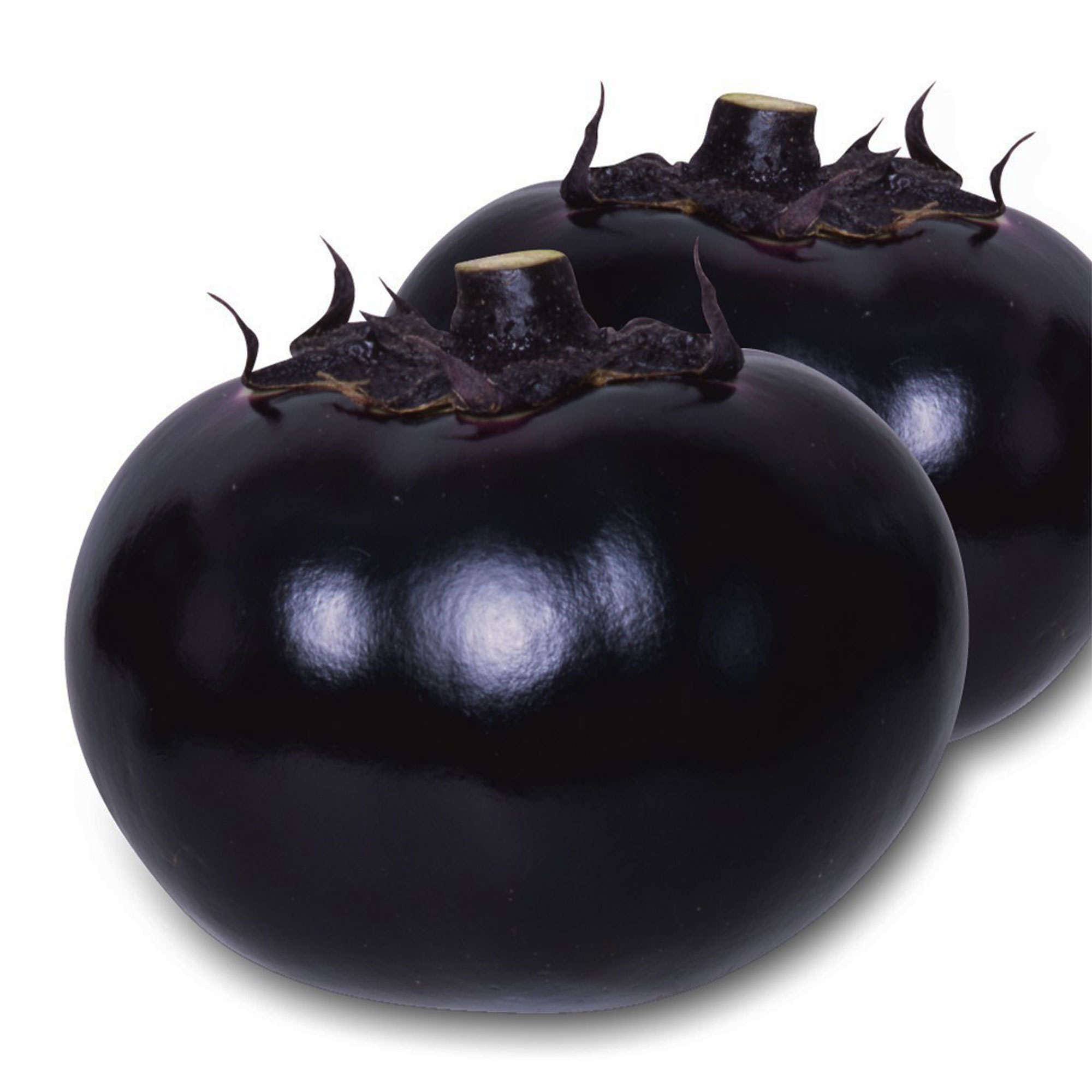 Eggplant Seeds - E-Star - Hybrid -500 Mg Packet ~105 Seeds - Non-GMO, F1 Hybrid - Asian Garden Vegetable