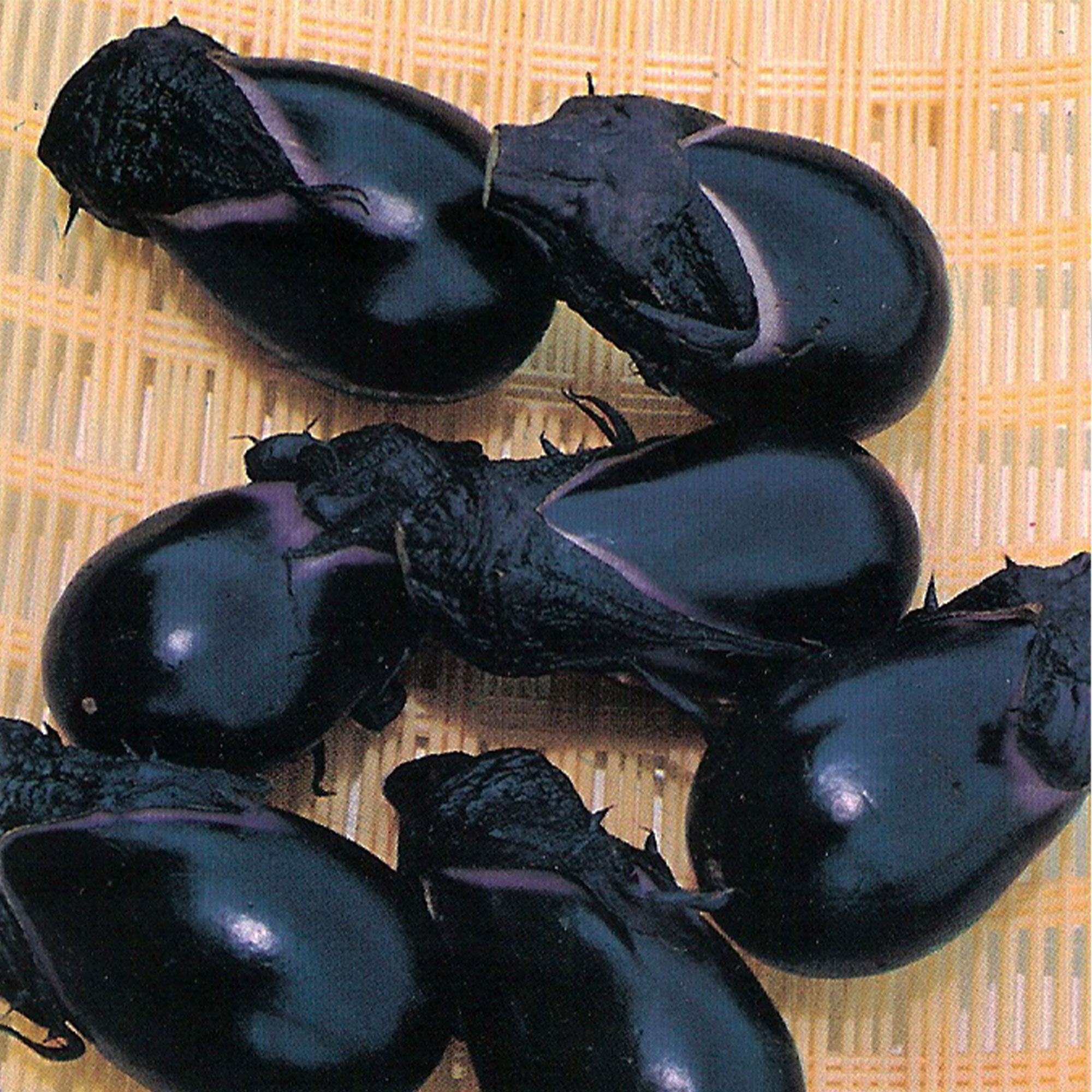 Eggplant Seeds - Konasu -1 Lb ~100800 Seeds - Non-GMO, Heirloom - Asian Garden Vegetable