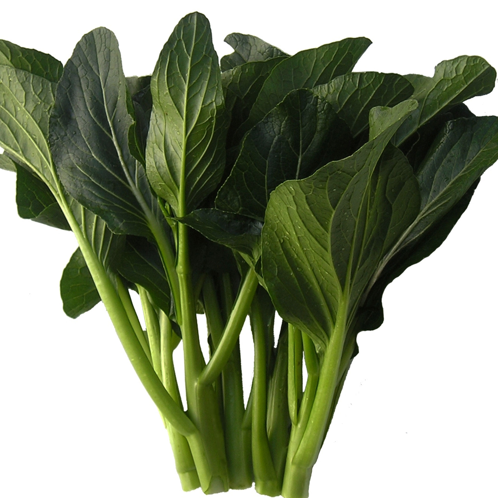 Yu Choy Sum Seeds - Jung Green -3 g Packet ~1080 Seeds - Non-GMO, Heirloom - Asian Garden Vegetable