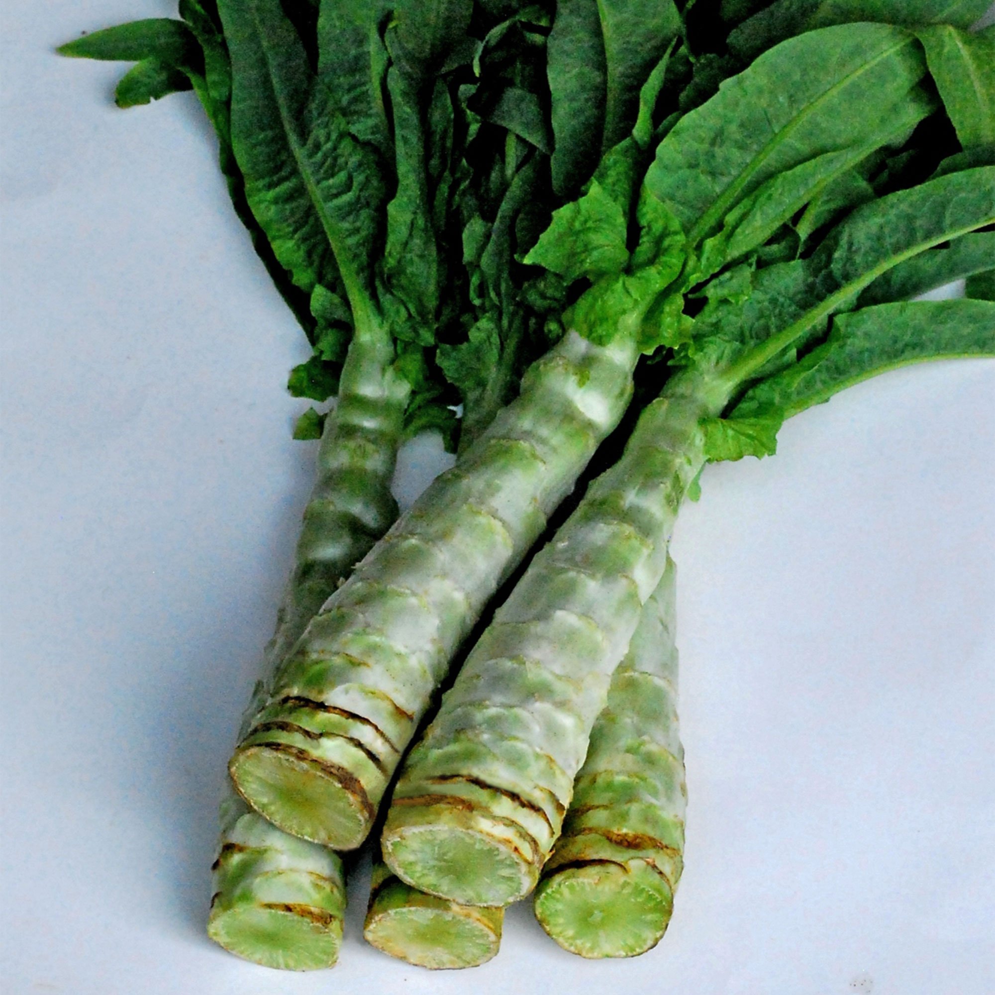 Lettuce Seeds - Summer 38 Celtuce -2 g Packet ~1332 Seeds - Non-GMO, Heirloom - Vegetable Garden