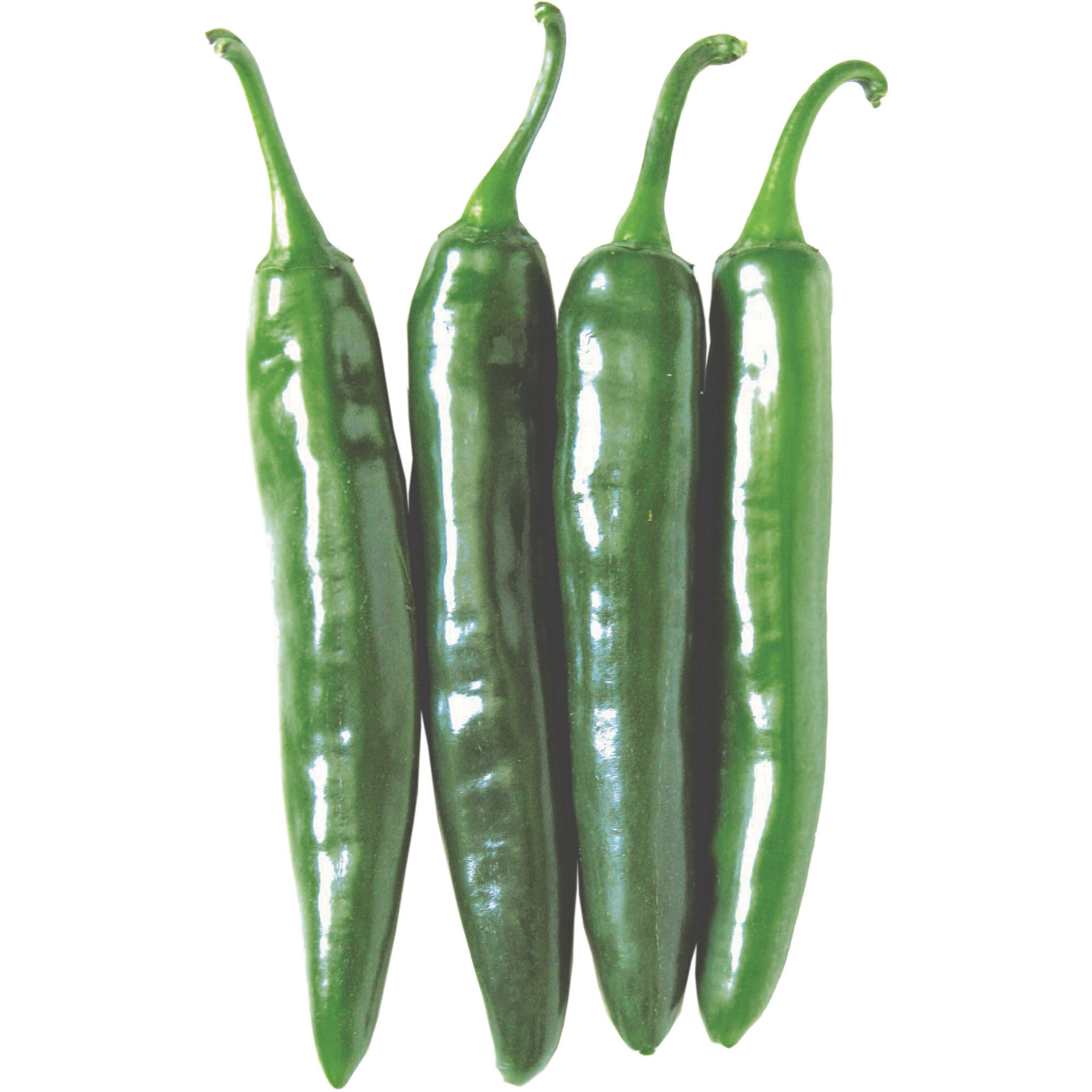 Pepper Seeds - Hot - Korean - Gochu Vita Green - Hybrid -500 Mg Packet ~54 Seeds - Non-GMO, F1 Hybrid - Asian Garden Vegetable