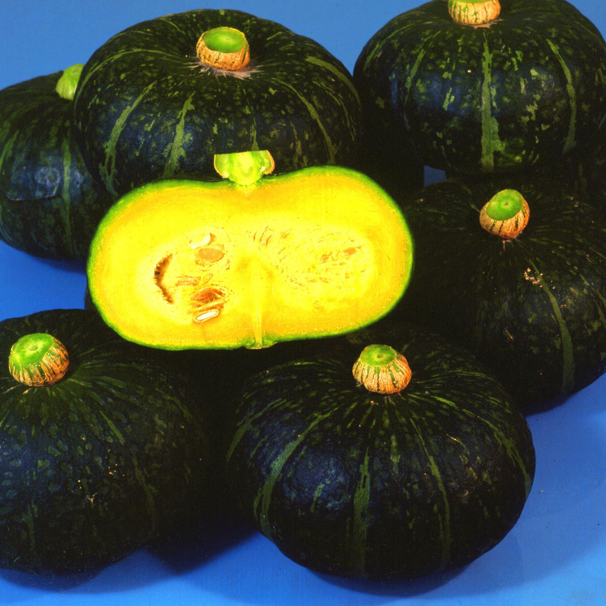 Squash Seeds - Winter - Kurinishiki - Hybrid -2 g Packet ~12 Seeds - Non-GMO, F1 Hybrid - Asian Garden Vegetable