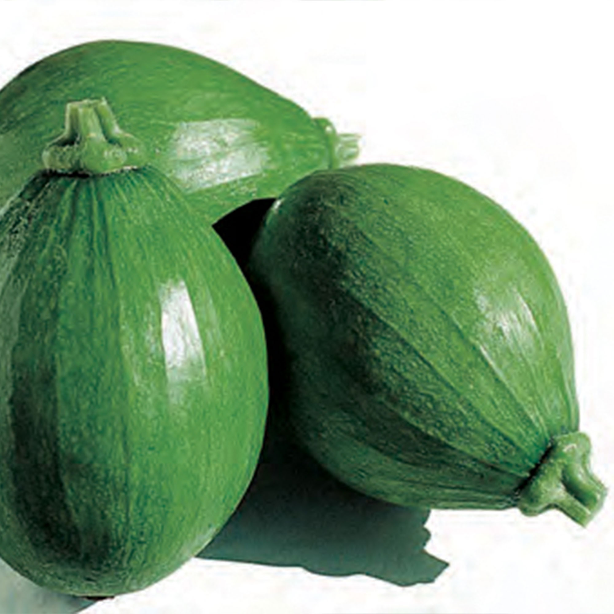 Squash Seeds - Korean, Summer - Teot Bat Put - Hybrid -2 g Packet ~14 Seeds - Non-GMO, F1 Hybrid - Asian Garden Vegetable