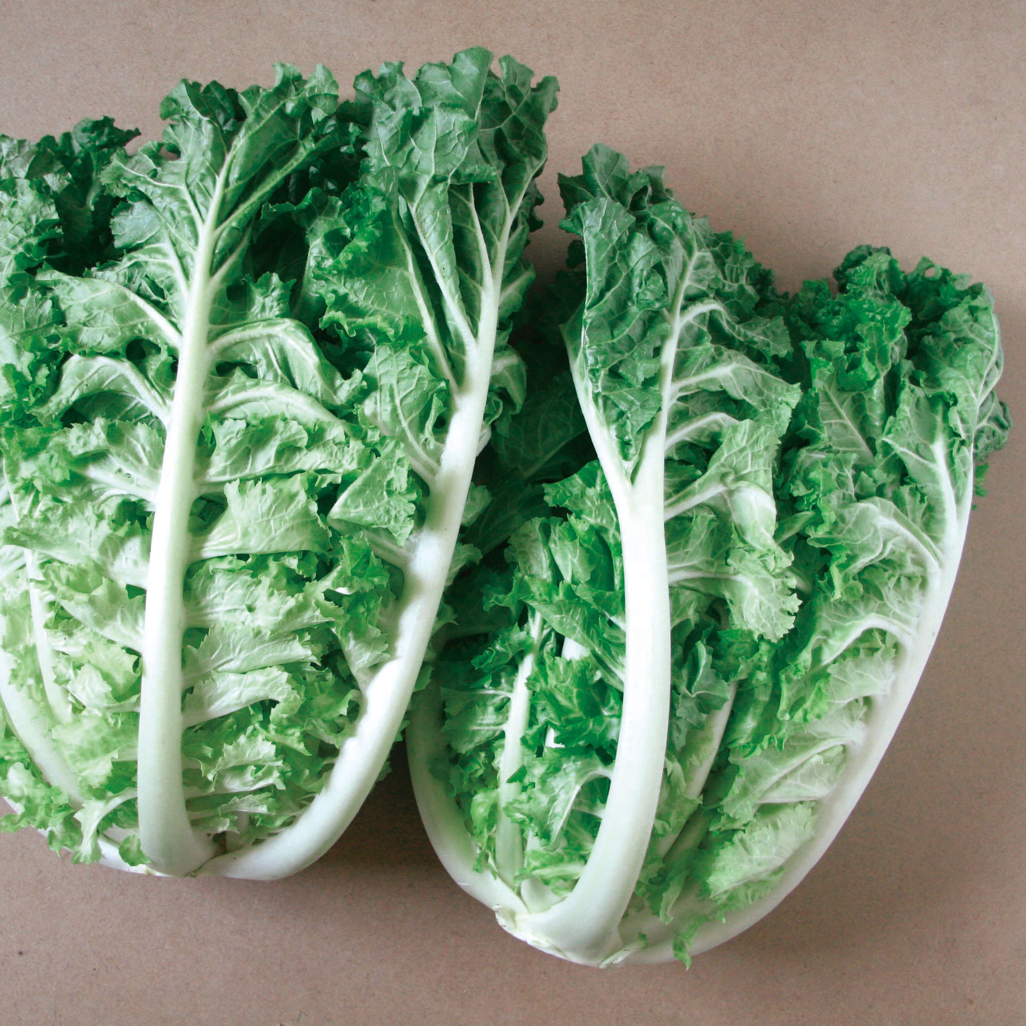 Chinese Cabbage Seeds - Bae Moo Chae - Hybrid -1 Oz ~2240 Seeds - Non-GMO, F1 Hybrid - Asian Garden Vegetable