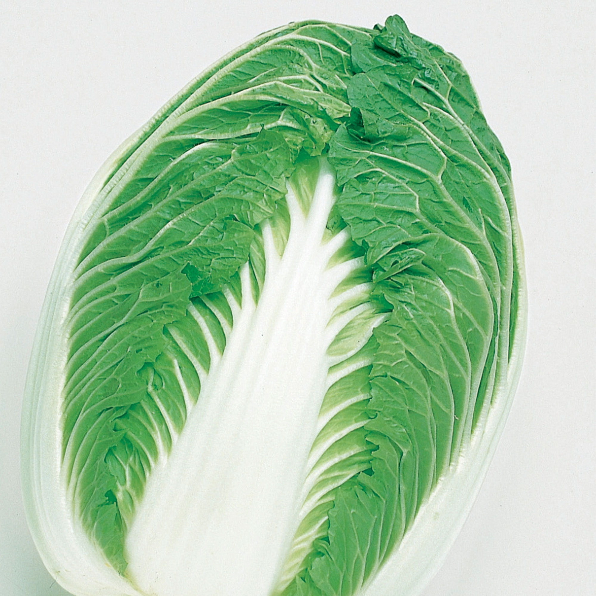 Chinese Cabbage Seeds - Blues - Hybrid -1 Oz ~2800 Seeds - Non-GMO, F1 Hybrid - Asian Garden Vegetable