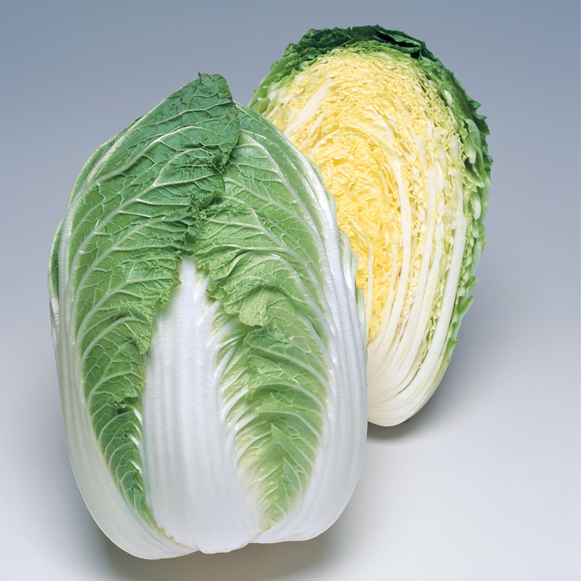 Chinese Cabbage Seeds - Winter Crisp - Hybrid -500 Mg Packet ~169 Seeds - Non-GMO, F1 Hybrid - Asian Garden Vegetable