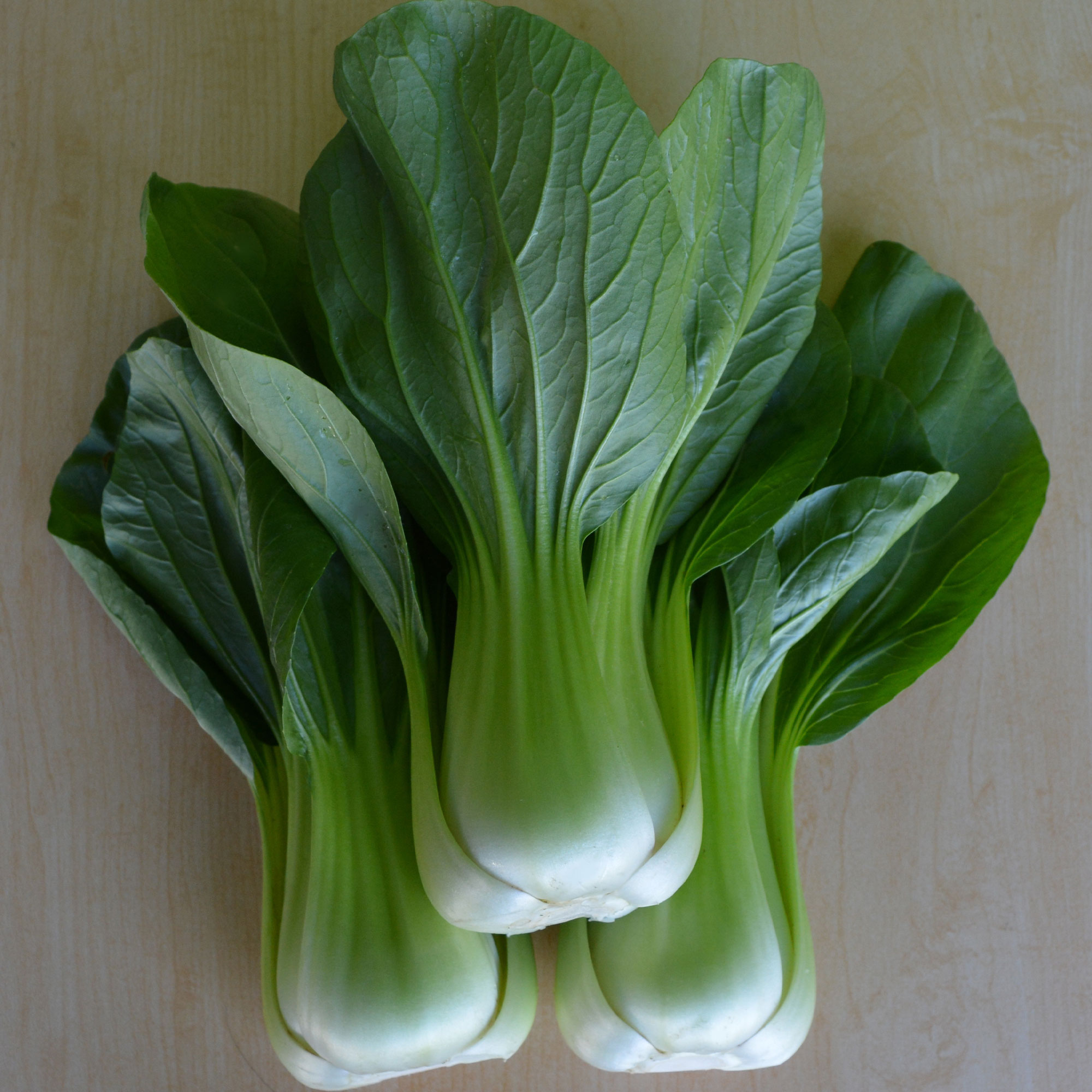 Cabbage Seeds - Pak Choi - Chun Mei - Hybrid -2 g Packet ~700 Seeds - Non-GMO, F1 Hybrid - Asian Garden Vegetable