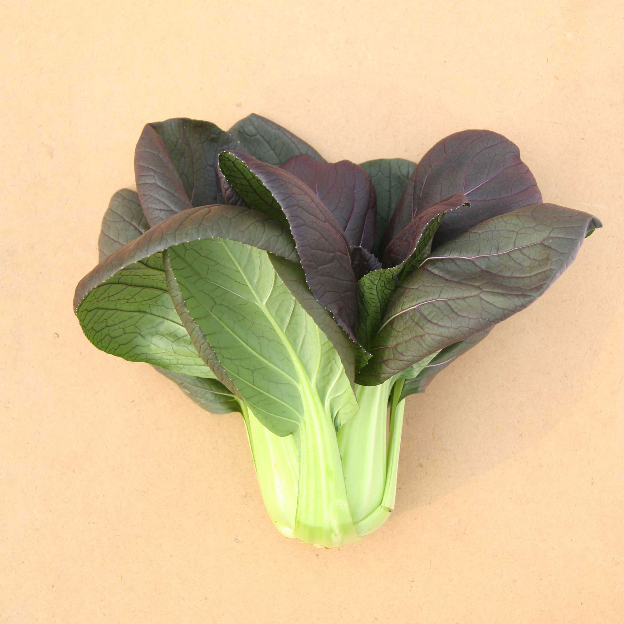 Cabbage Seeds - Pak Choi - Red Choi - Hybrid -2 g Packet ~360 Seeds - Non-GMO, F1 Hybrid - Asian Garden Vegetable