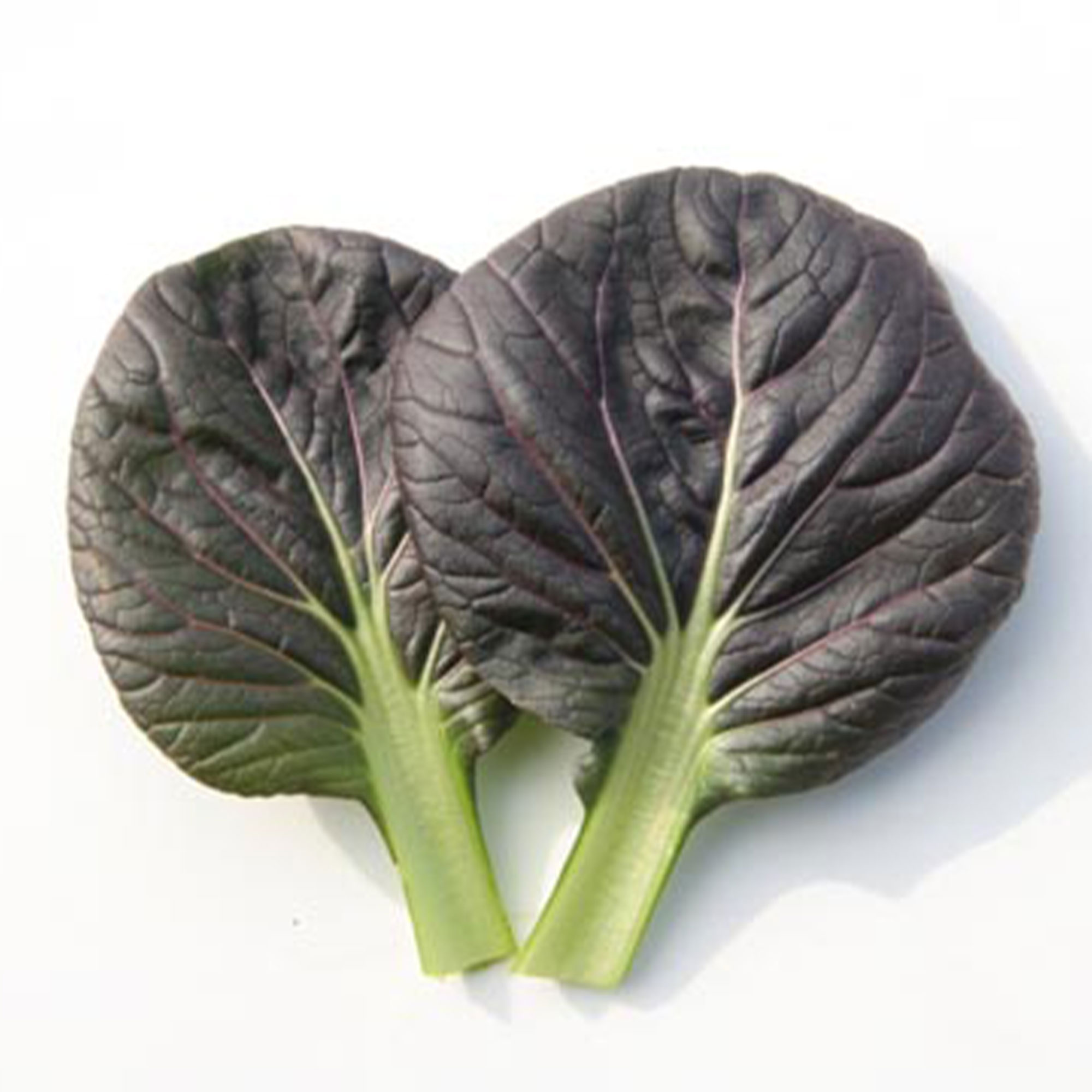 Cabbage Seeds - Pak Choi - Red Tatsoi - Hybrid -2 g Packet ~404 Seeds - Non-GMO, F1 Hybrid - Asian Garden Vegetable