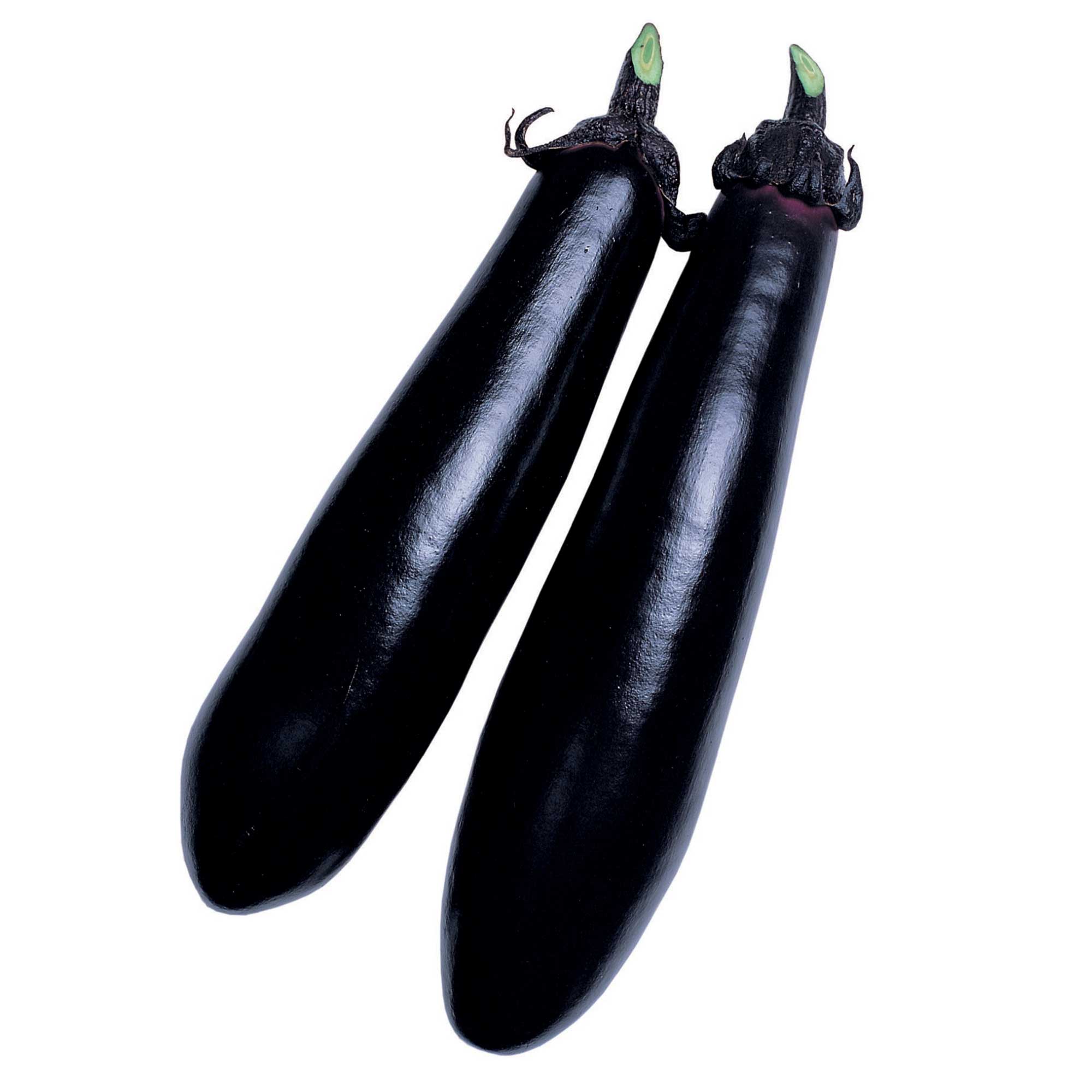 Eggplant Seeds - Black Shine - Hybrid -500 Mg Packet ~112 Seeds - Non-GMO, F1 Hybrid - Asian Garden Vegetable