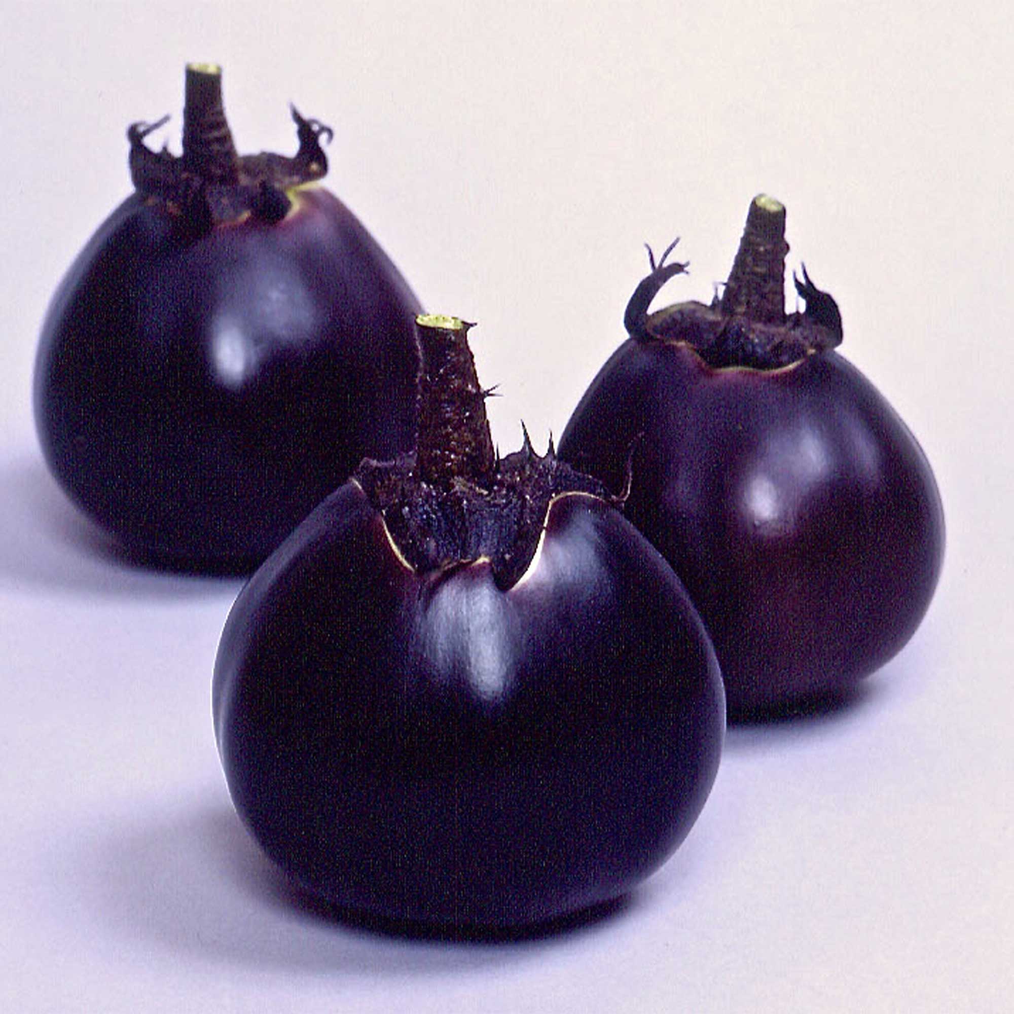 Eggplant Seeds - Kamo -500 Mg Packet ~105 Seeds - Non-GMO, Heirloom - Asian Garden Vegetable