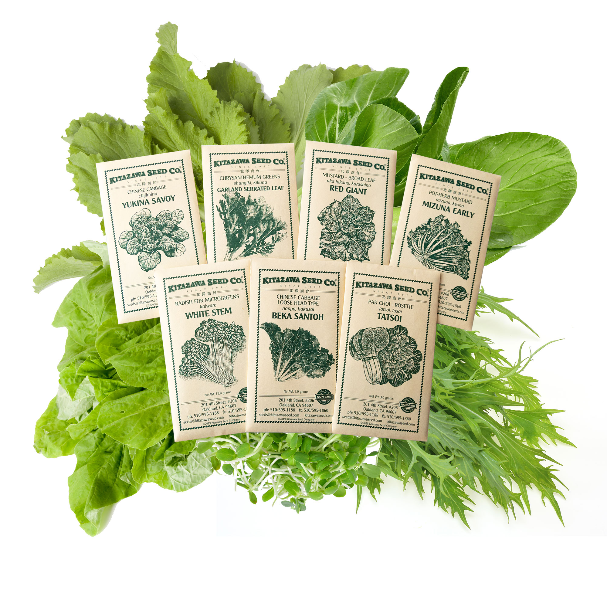 Asian Chef's Specialty Seed Assortment - Asian Salad Garden Seed Collection - Asian Leafy Greens - Cabbage, Mustard, Pok Choi, M