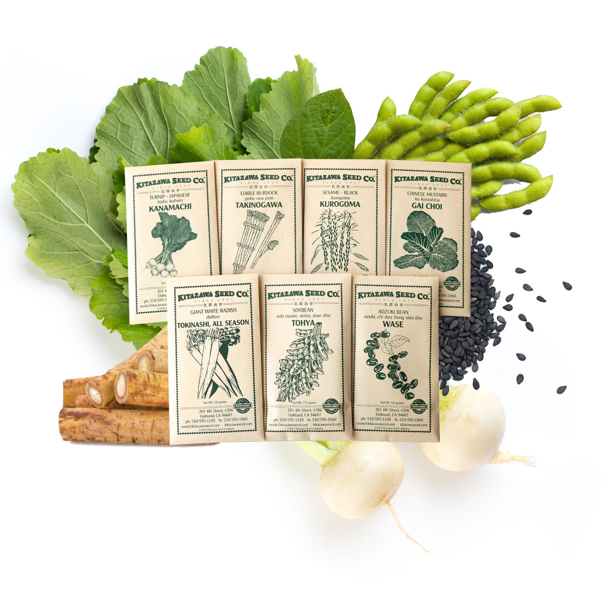 Asian Chef's Specialty Seed Assortment - Macrobiotic Garden Seed Collection - Asian Macro Diet Vegetables - Soybean, Burdock, Mo