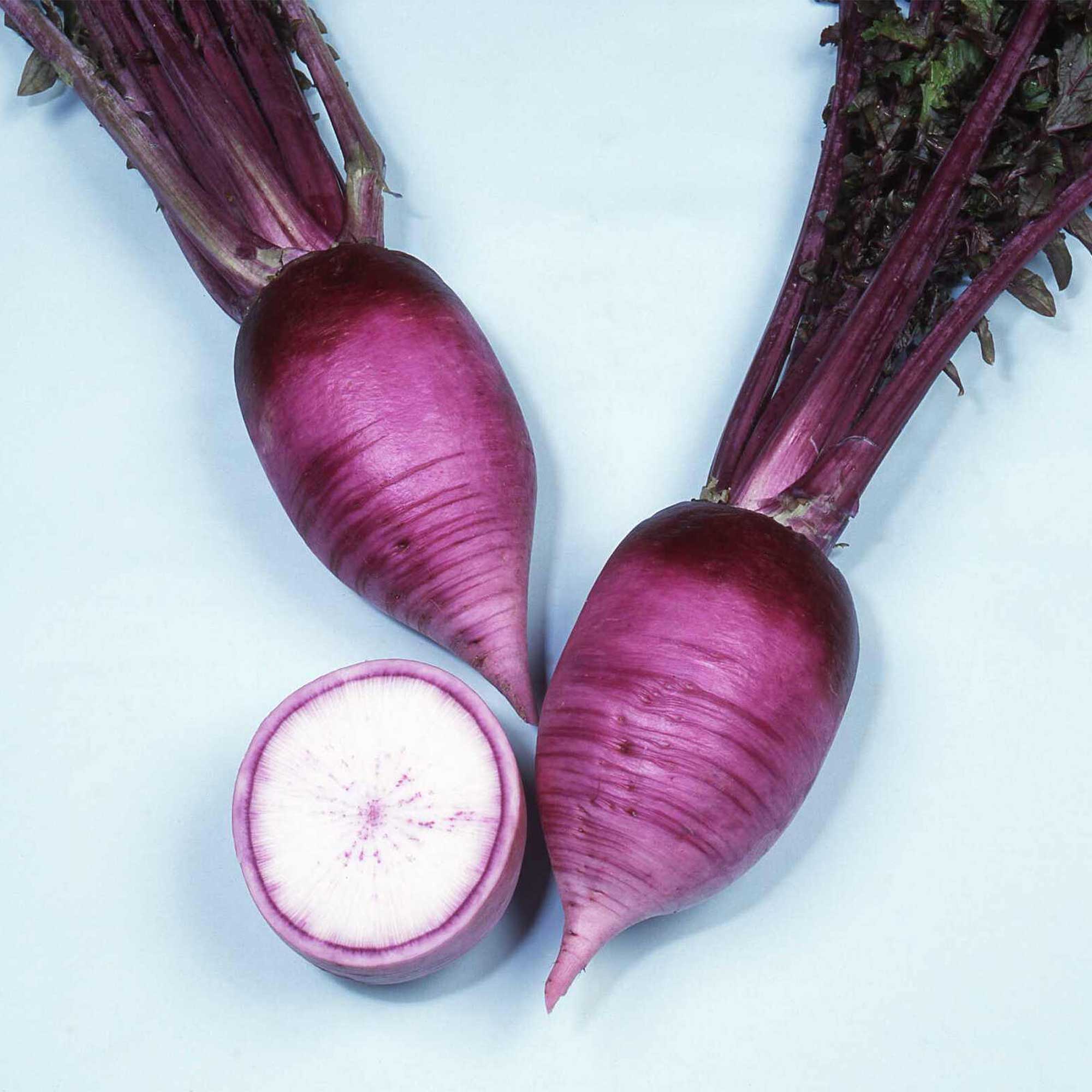 Hot Radish Seeds - AKA Karaine - Hybrid -1 g Packet ~115 Seeds - Non-GMO, F1 Hybrid - Asian Garden Vegetable