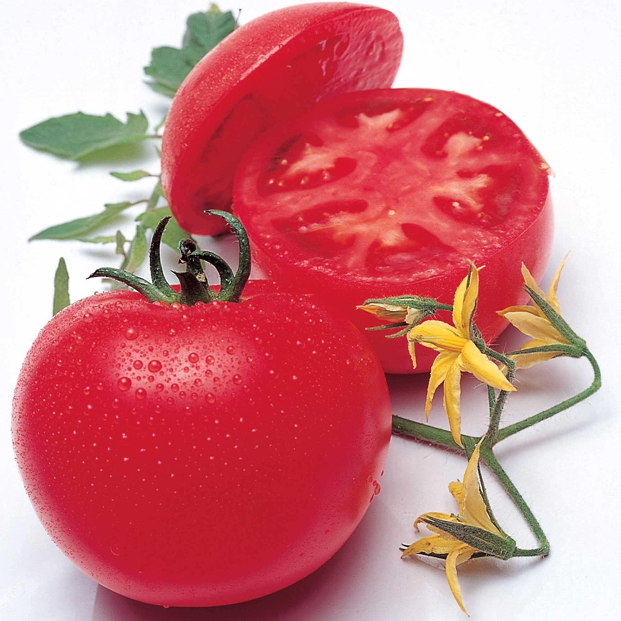 Tomato Seeds - Momotaro Tough Boy Fight- Hybrid -10 Seeds ~10 Seeds - Non-GMO, F1 Hybrid - Asian Garden Vegetable