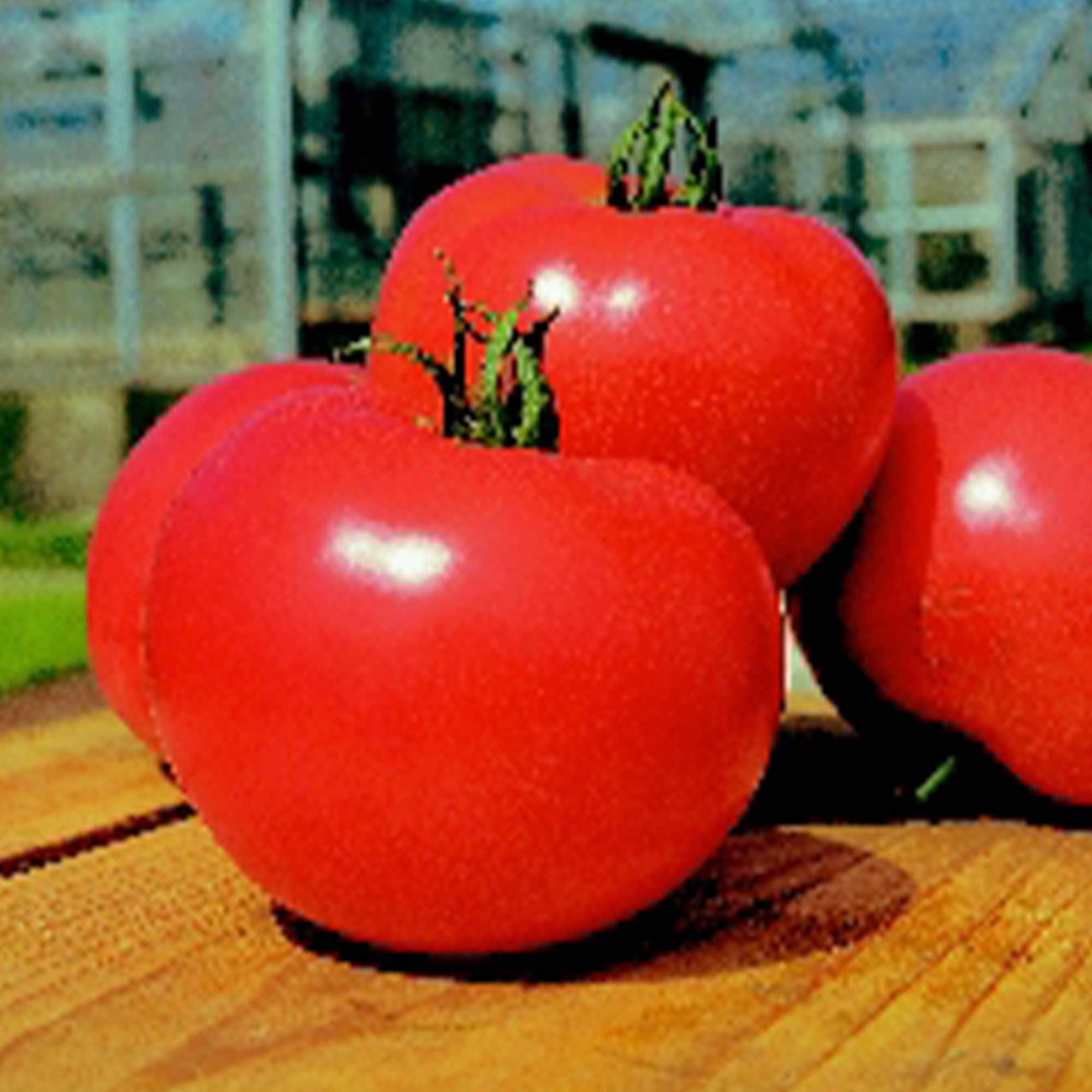 Tomato Seeds - Momotaro - Hybrid -10 Seeds ~10 Seeds - Non-GMO, F1 Hybrid - Asian Garden Vegetable