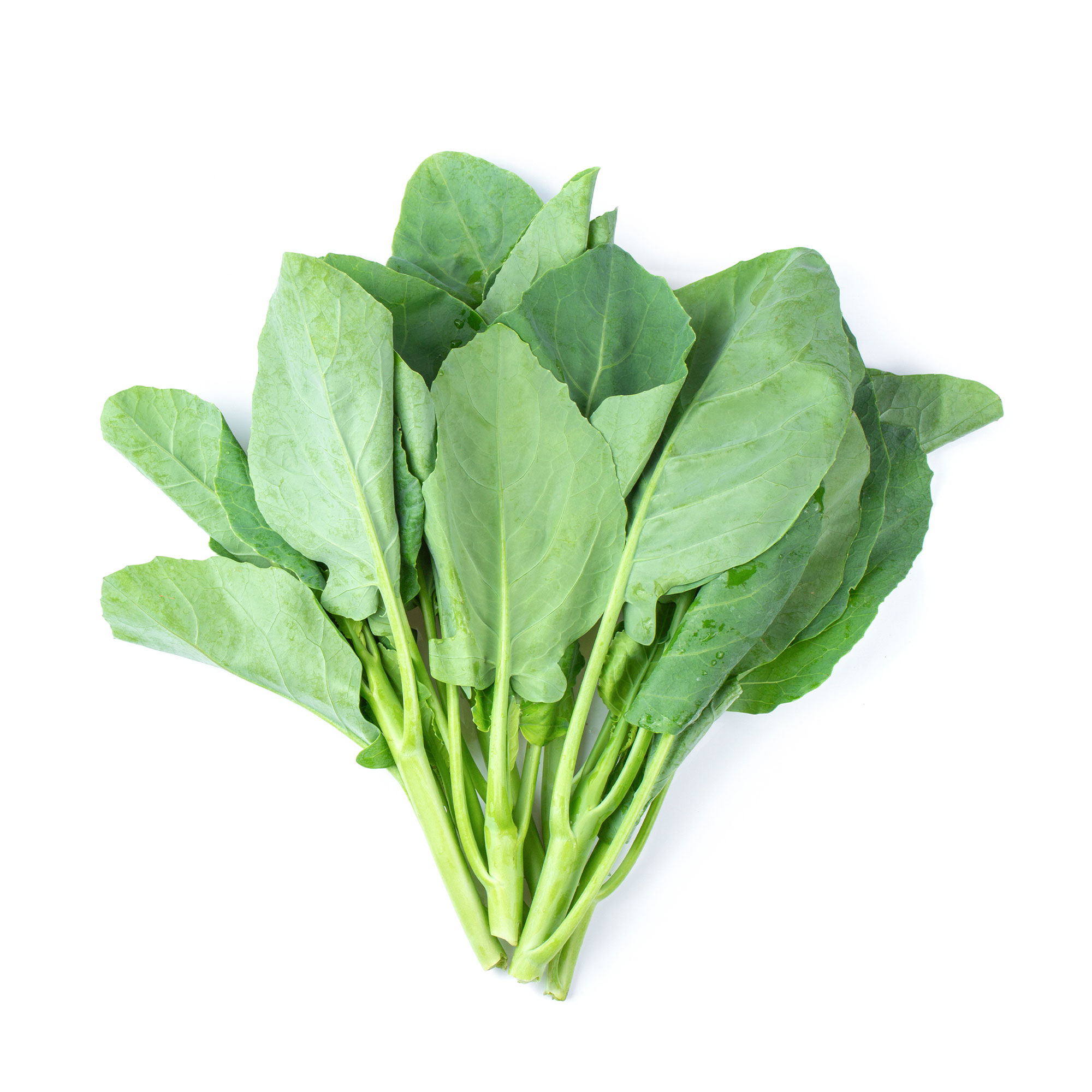 Chinese Broccoli Seeds - Ryokuho - Hybrid -2 g Packet ~175 Seeds - Non-GMO, F1 Hybrid - Asian Garden Vegetable