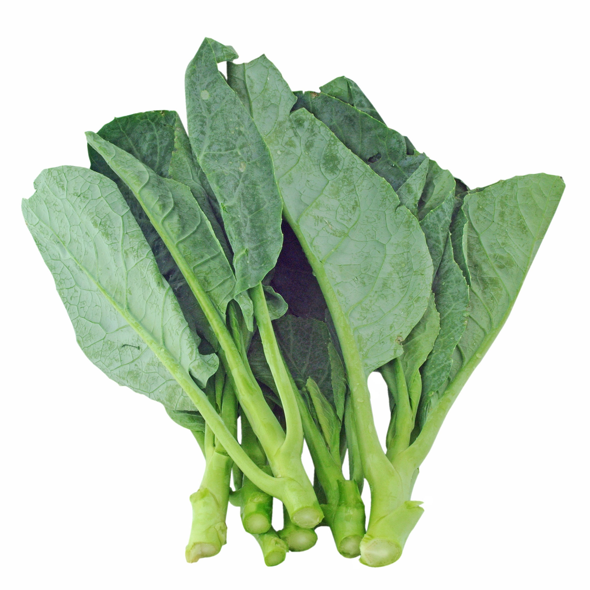 Chinese Broccoli Seeds - Wan Shen -1 Oz ~7550 Seeds - Non-GMO, Heirloom - Asian Garden Vegetable &amp; Microgreens