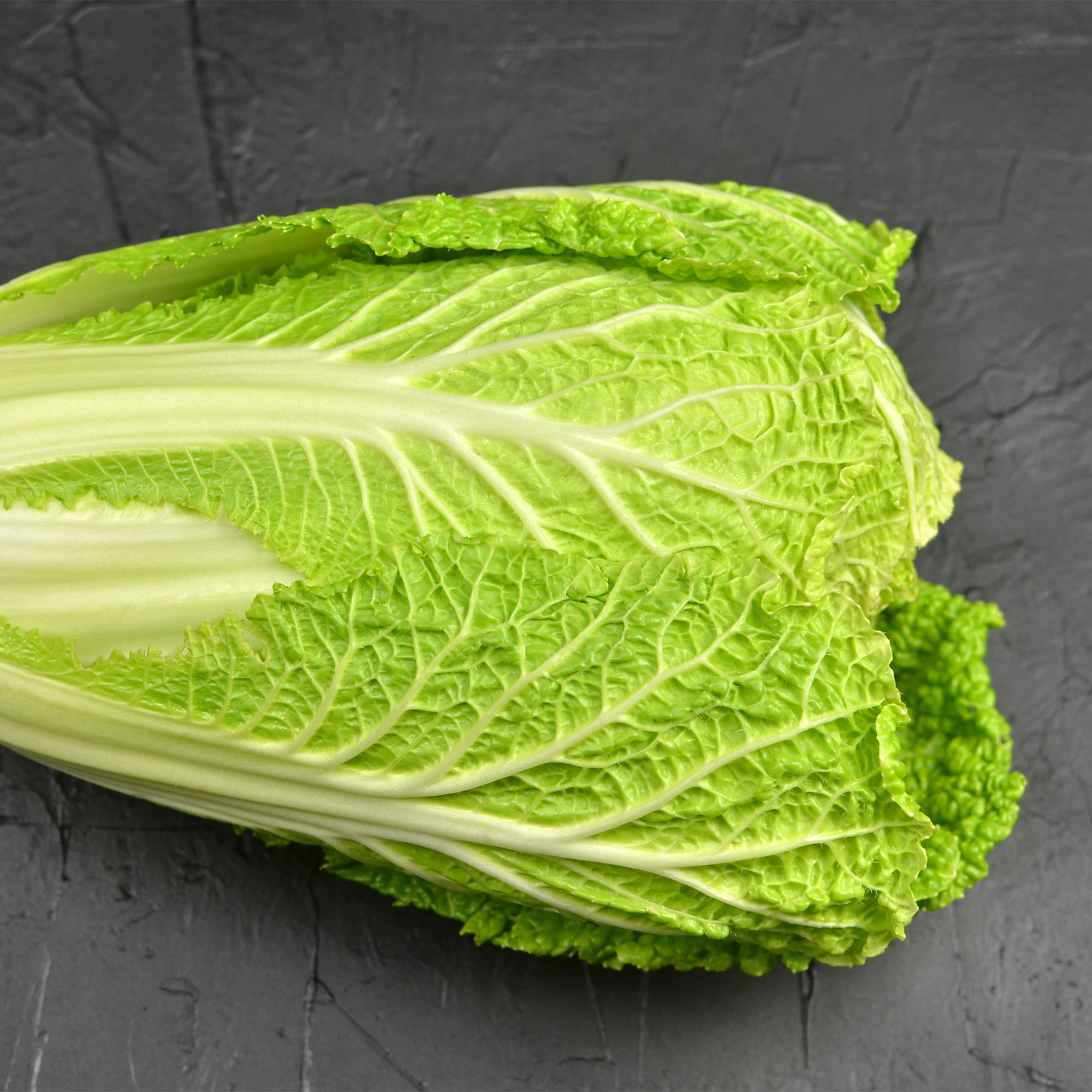 Chinese Cabbage Seeds - WR-70 Days - Hybrid -1.5 g Packet ~270 Seeds - Non-GMO, F1 Hybrid - Asian Garden Vegetable