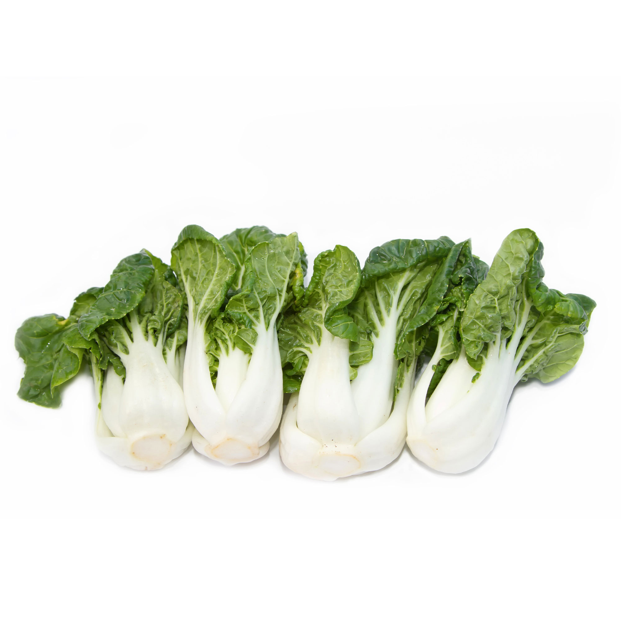 Cabbage Seeds - Pak Choi - Extra Dwarf -4 Oz ~40000 Seeds - Non-GMO, Heirloom - Asian Garden Vegetable &amp; Microgreens