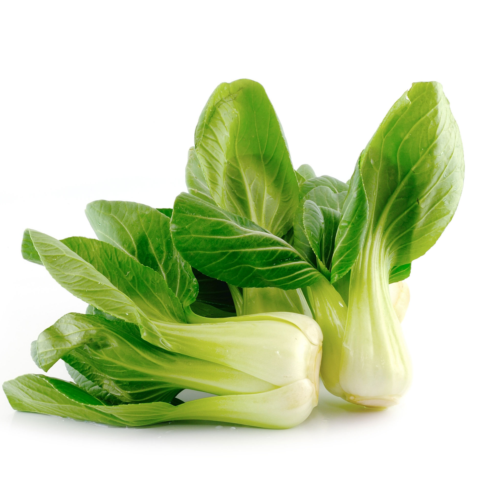 Cabbage Seeds - Pak Choi - Little Shanghai - Hybrid -2 g Packet ~288 Seeds - Non-GMO, F1 Hybrid - Asian Garden Vegetable