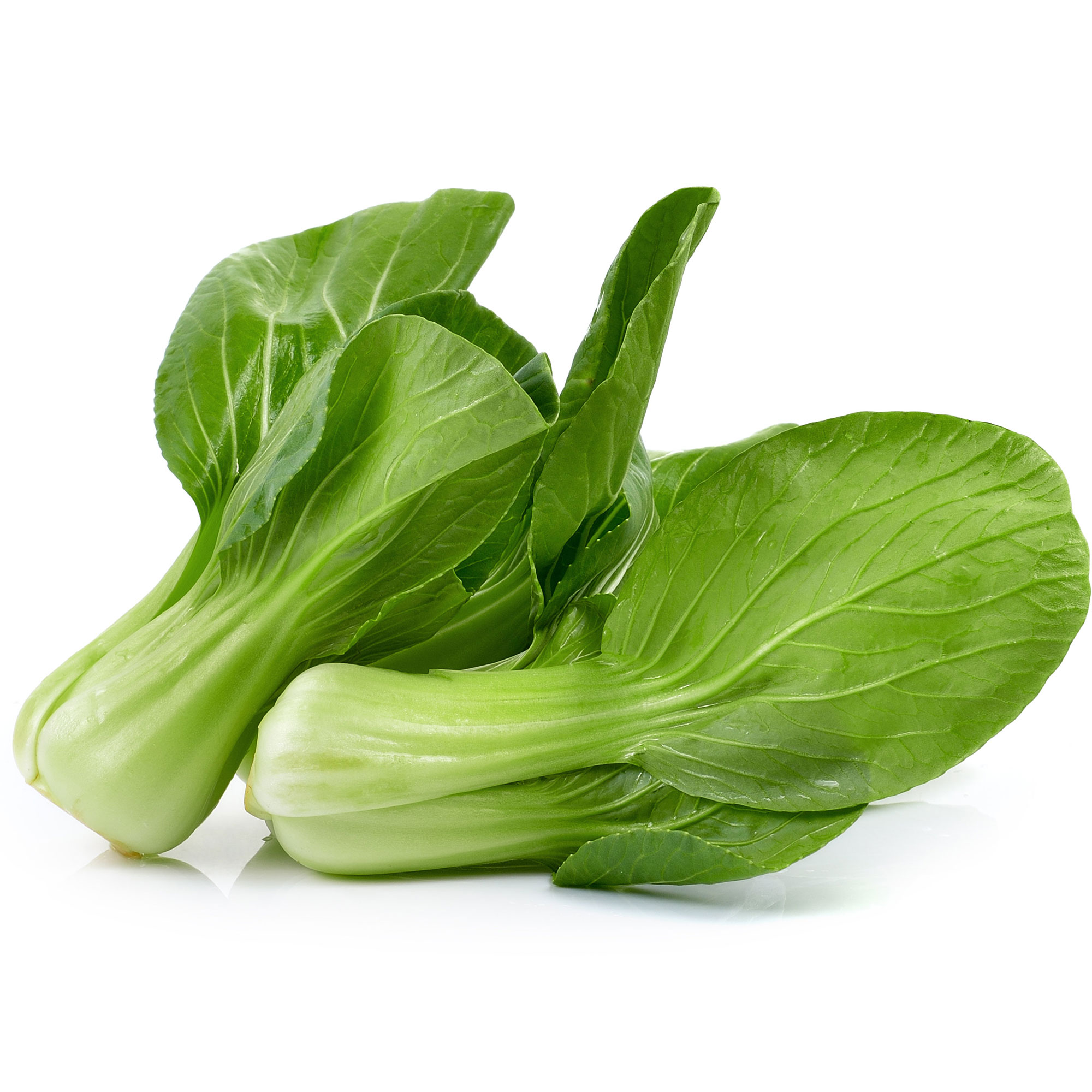 Cabbage Seeds - Pak Choi - San Fan - Hybrid -2 g Packet ~720 Seeds - Non-GMO, F1 Hybrid - Asian Garden Vegetable