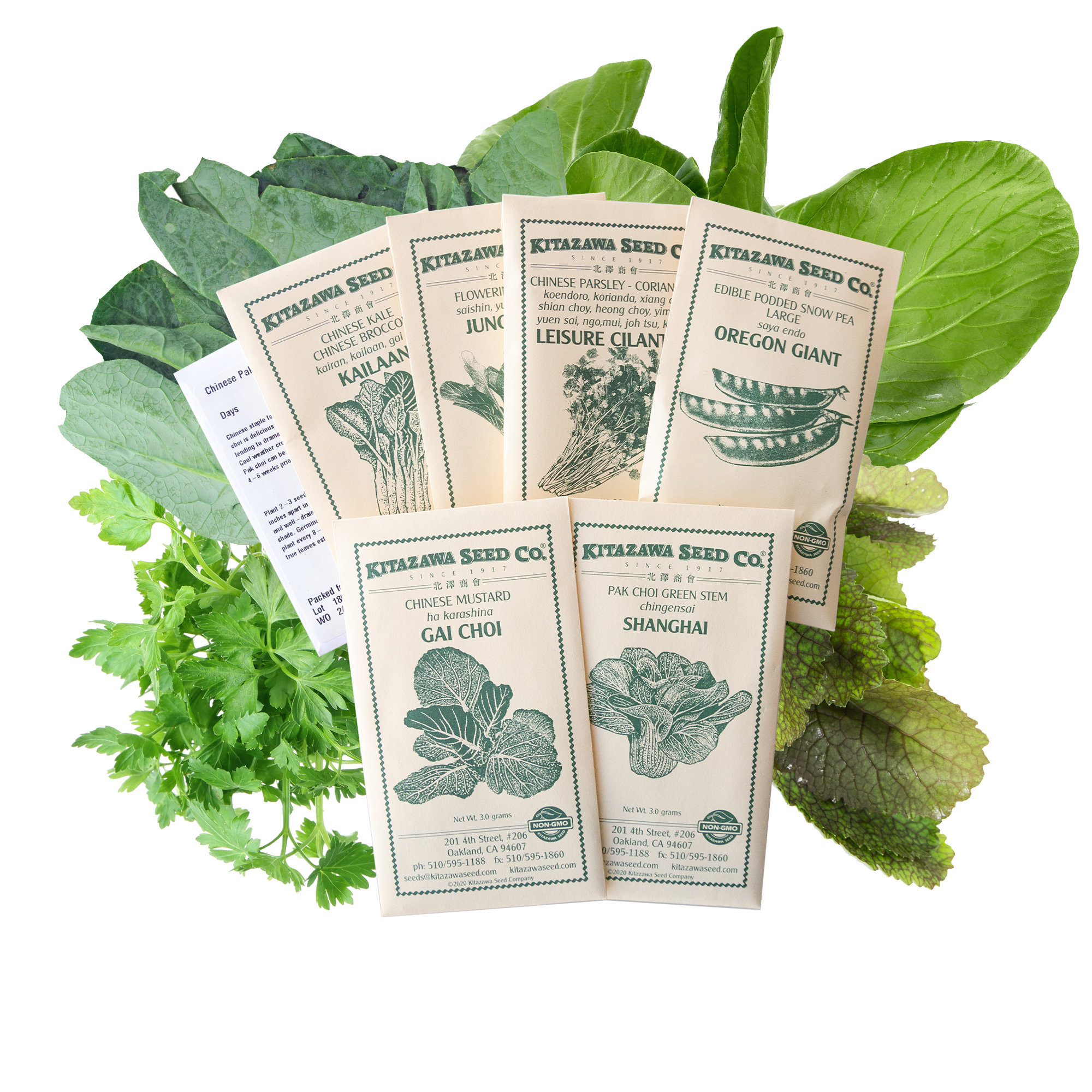 Asian Chef's Specialty Seed Assortment - Chinese Cuisine Garden Seed Collection - China Vegetable Seeds - Bok Choy, Snow Pea, Mu