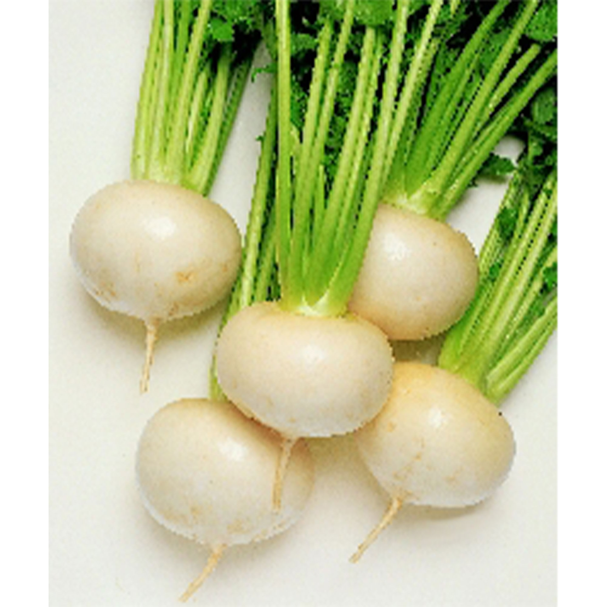 Turnip Seeds - Tokyo Cross - Hybrid -1 g Packet ~324 Seeds - Non-GMO, F1 Hybrid - Asian Garden Vegetable