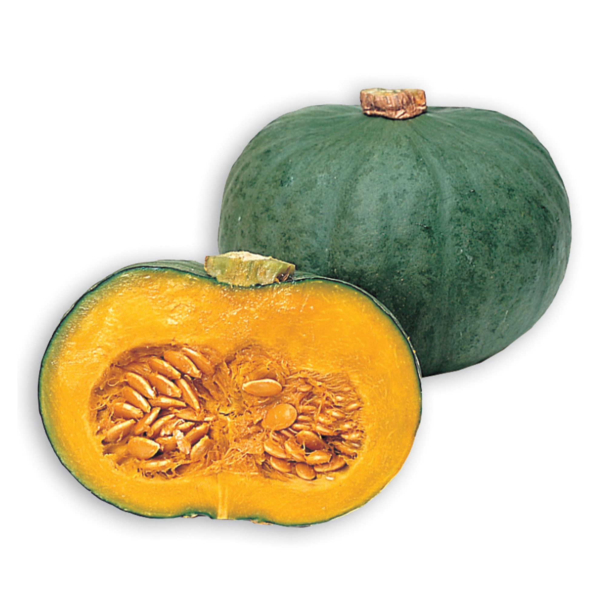 Squash Seeds - Japanese, Winter - Blue Kuri -4 Oz ~600 Seeds - Non-GMO, Heirloom - Asian Garden Vegetable