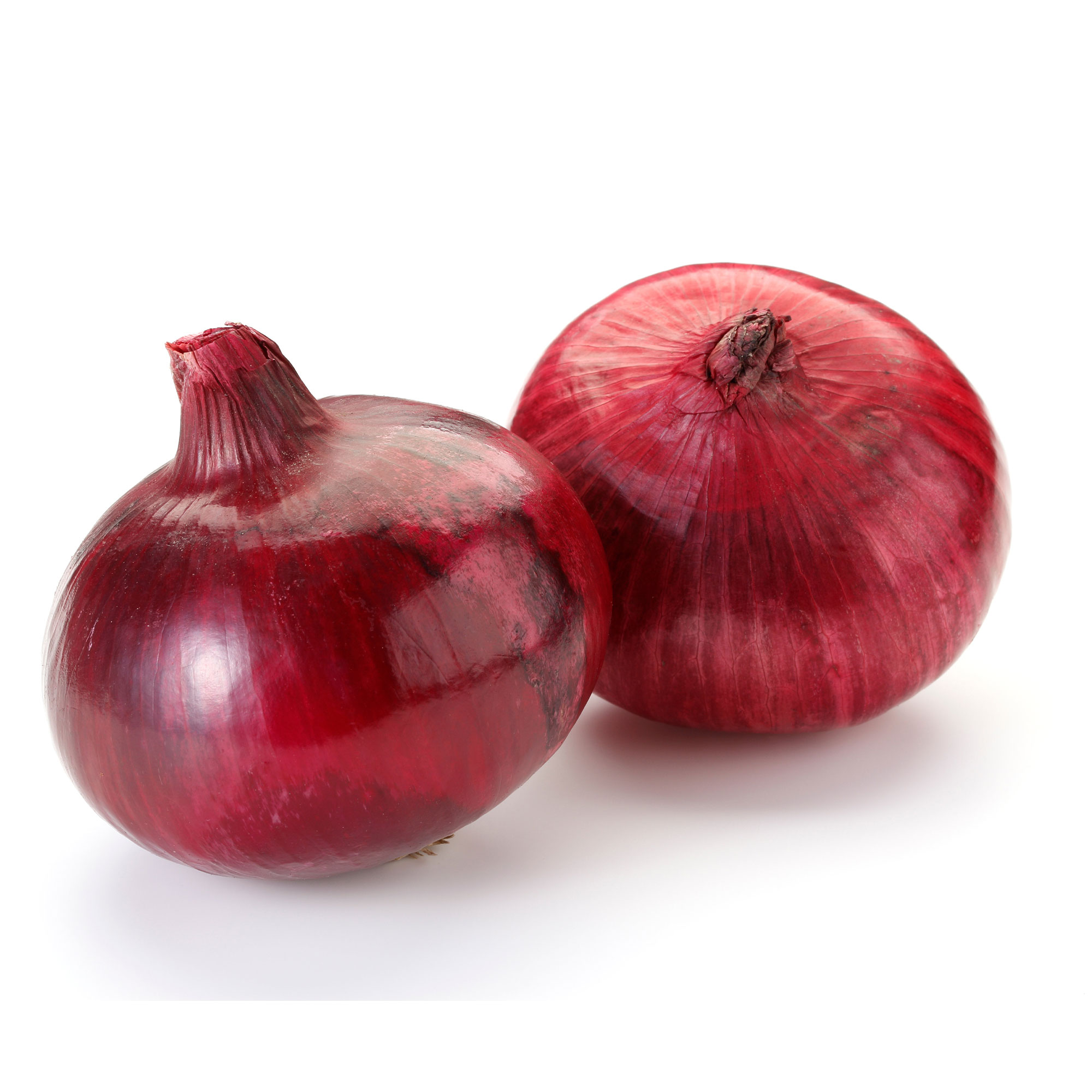 Onion Seeds - Shonan Red -1 Oz ~8500 Seeds - Non-GMO, Heirloom - Asian Garden Vegetable