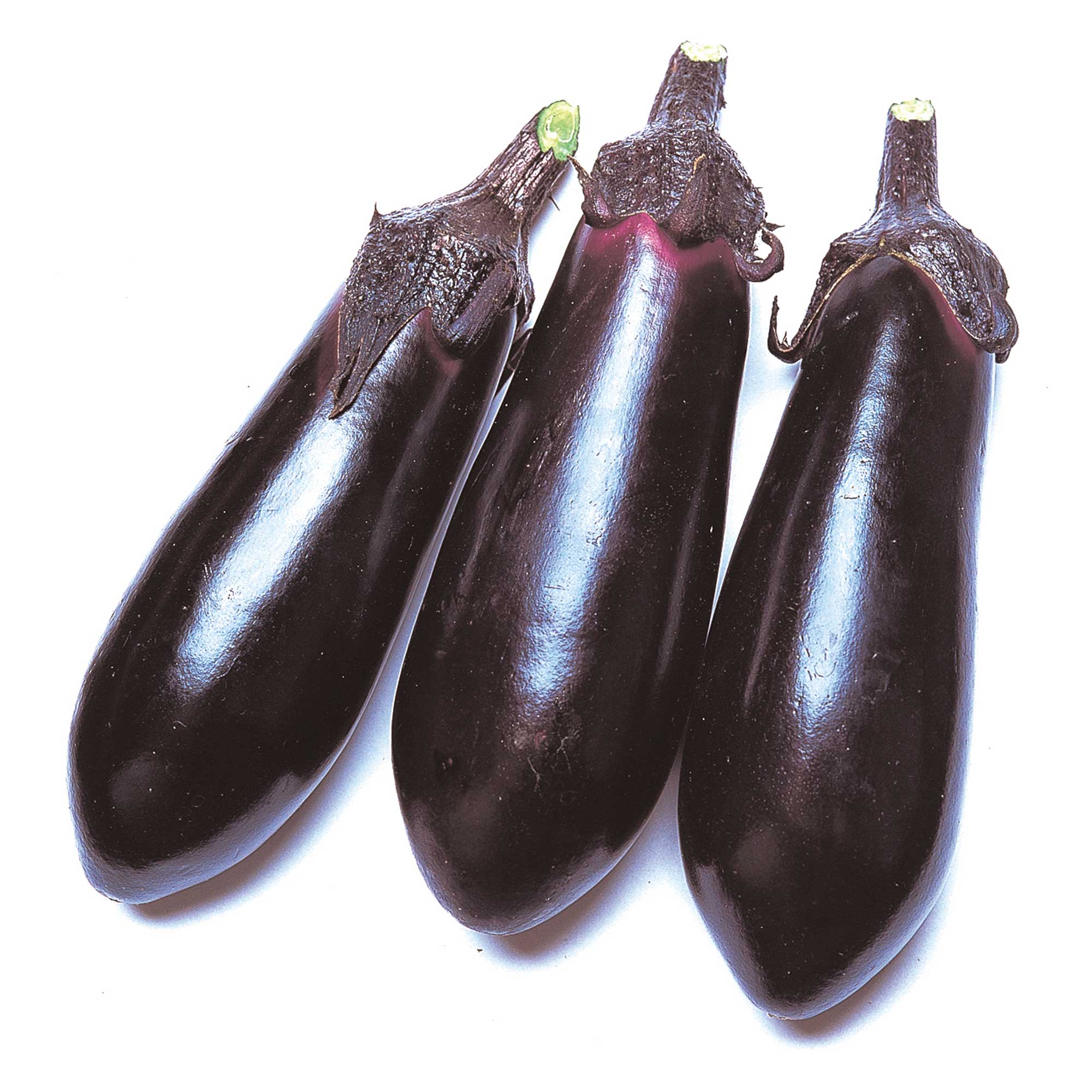 Eggplant Seeds -Money Maker 2 - Hybrid -500 Mg Packet ~113 Seeds - Non-GMO, F1 Hybrid - Asian Garden Vegetable