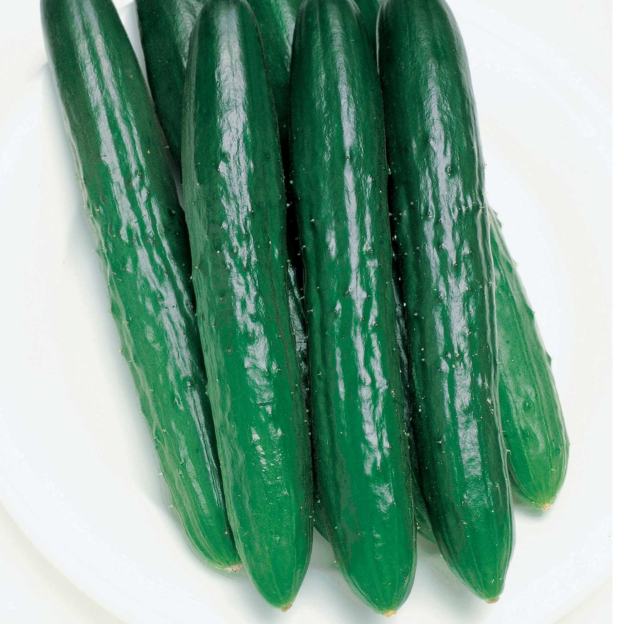 Cucumber Seeds, Japanese - Progress - Hybrid -4 Oz ~3400 Seeds - Non-GMO, F1 Hybrid - Asian Garden Vegetable