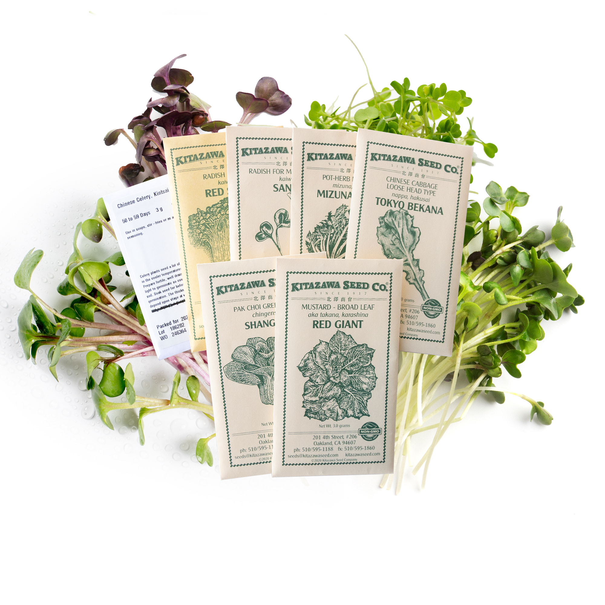 Asian Chef's Specialty Seed Assortment - Microgreens Garden Seed Collection - Asian Microgreens - Mizuna, Tatsoi, Sango Radish,