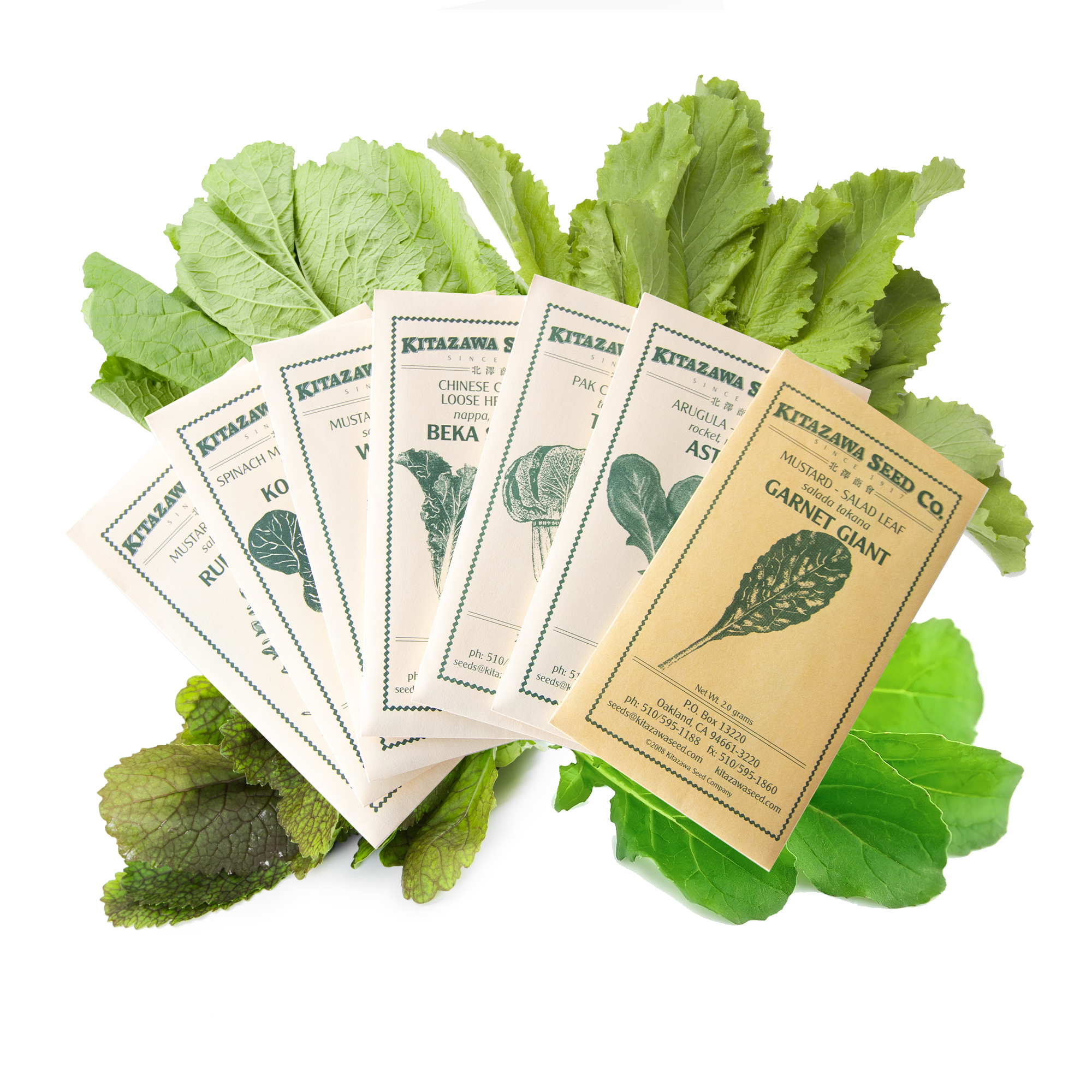 Asian Chef's Specialty Seed Assortment - Baby Leaf Garden Seed Collection - Baby Leaf Greens - Mustard, Arugula, Komatsuna, More