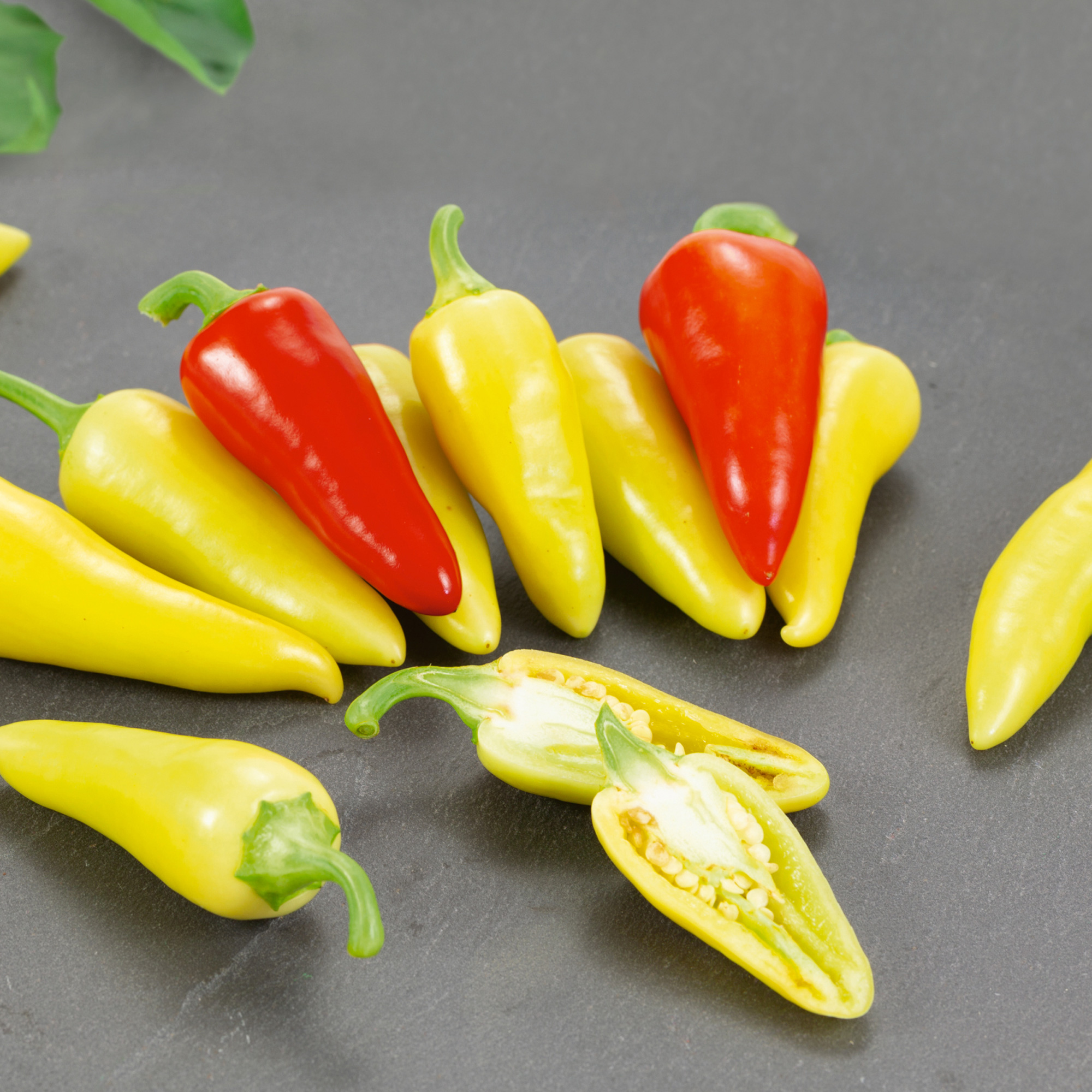 Dancing Spirits F1 Hybrid Hot Pepper Seeds - 0.25 Oz - Gardening