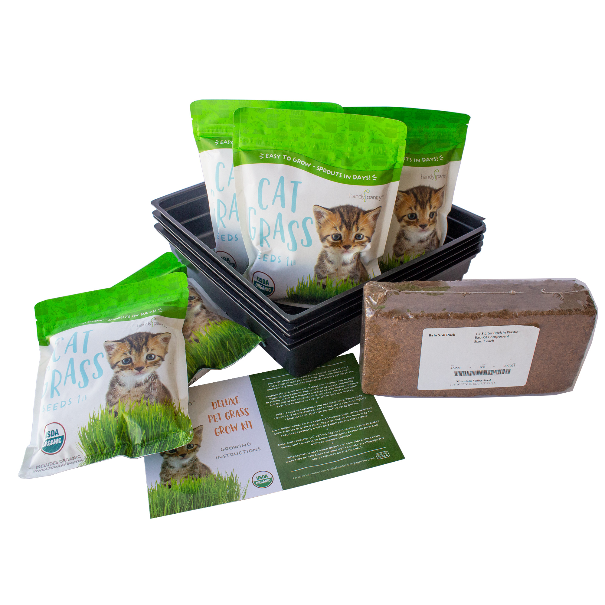 Deluxe Cat Grass Growing Kit - Wheat Grass Seeds for Cats, Dogs, Pets