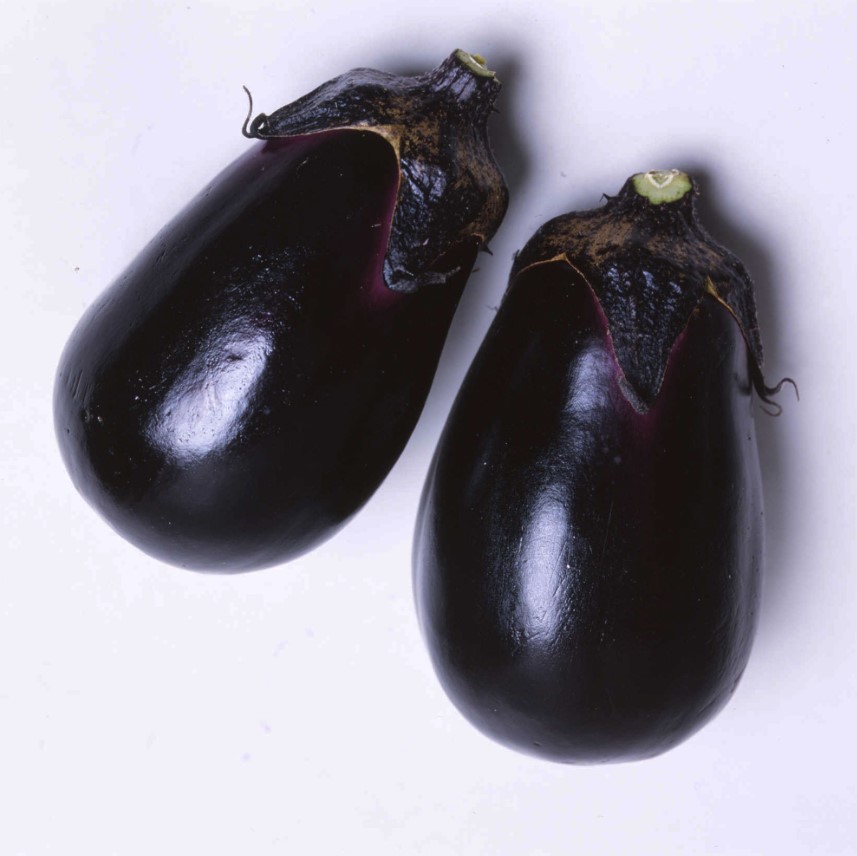 Eggplant Seeds - Mizuno Takumi - Hybrid -500 Mg Packet ~110 Seeds - Non-GMO, F1 Hybrid - Asian Garden Vegetable