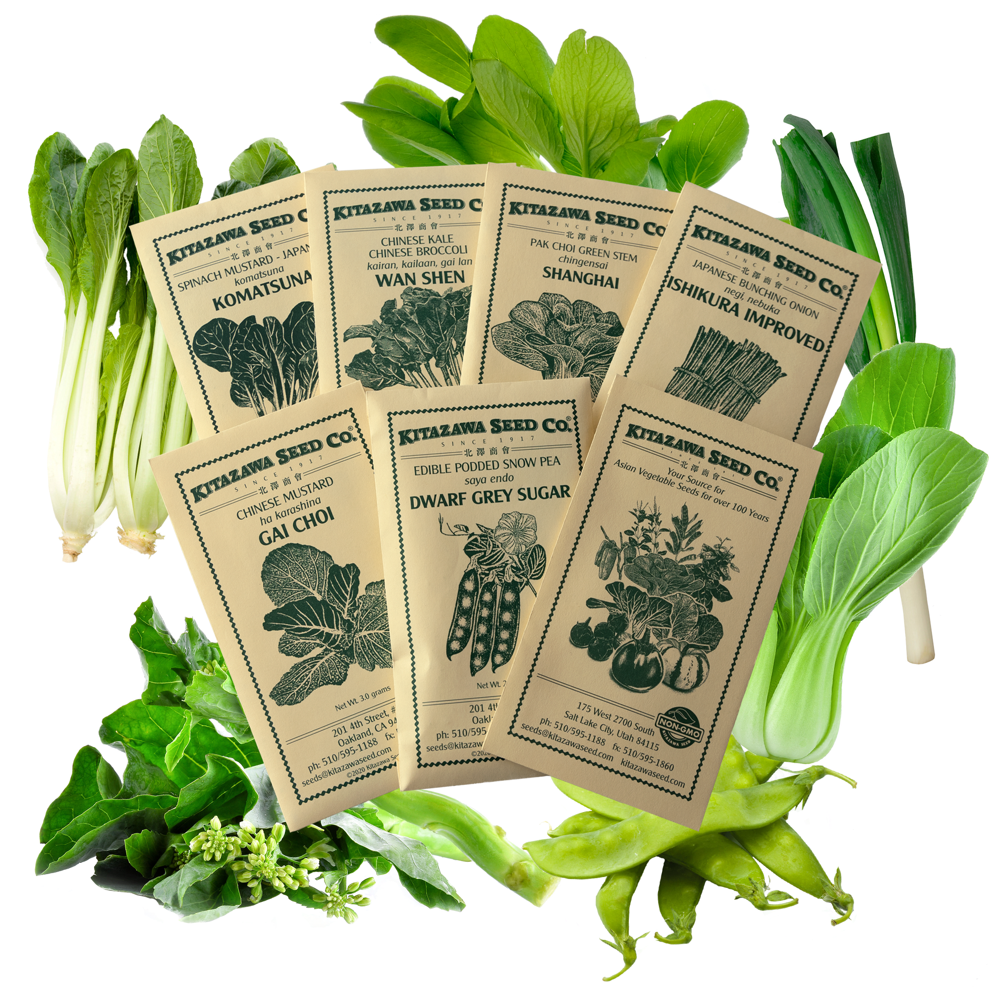 Asian Chef's Specialty Seed Assortment - Stir-fry Garden Seeds Collection - Stir Fry Garden Vegetables - Snow Pea, Broccoli, Pak