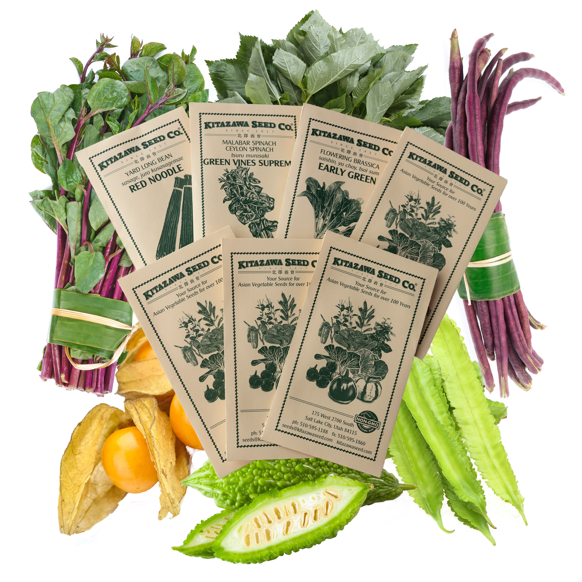 Asian Chef's Specialty Seed Assortment - Tropical Garden Seed Collection - Tropical Climate Vegetables - Bitter Gourd, Molokhia,