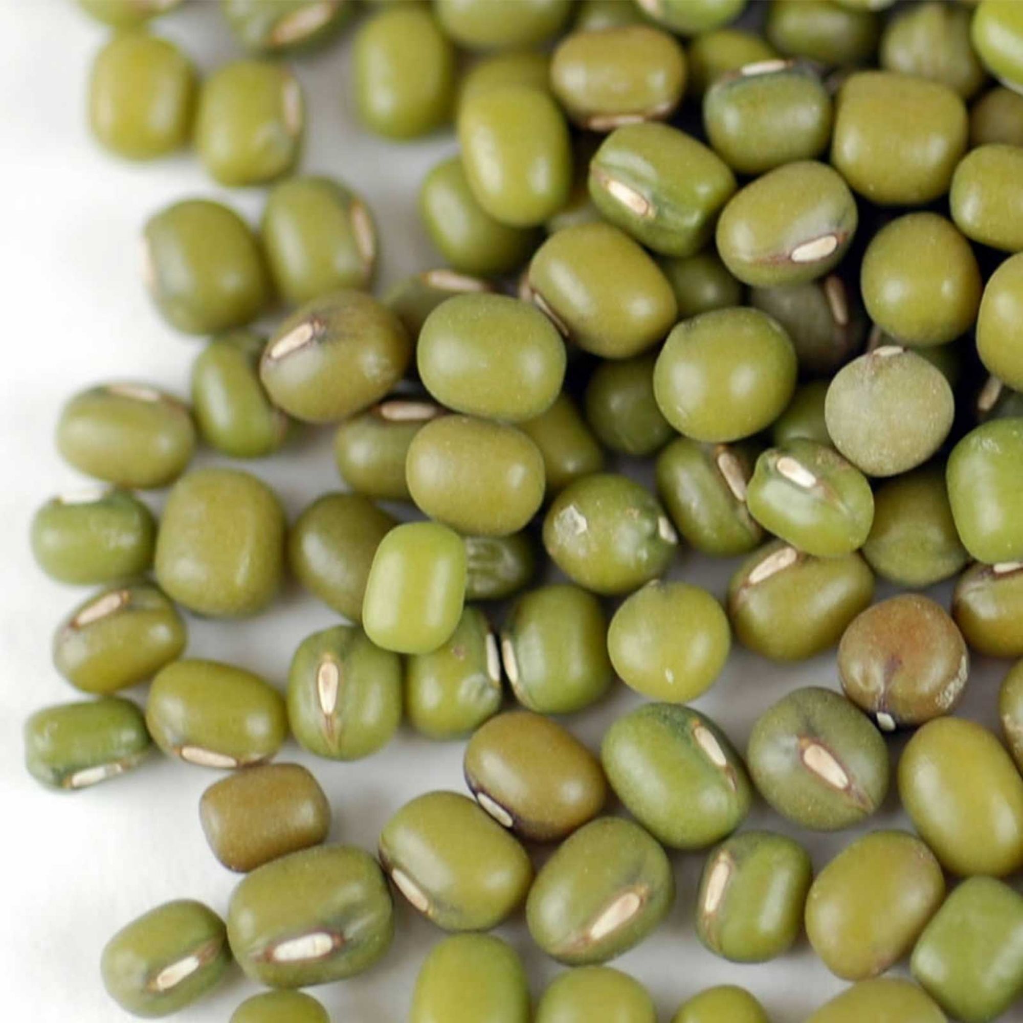 Mung Bean - Mappe Green -1 Lb ~10000 Seeds - Non-GMO, Heirloom - Asian Garden Vegetable &amp; Sprouts