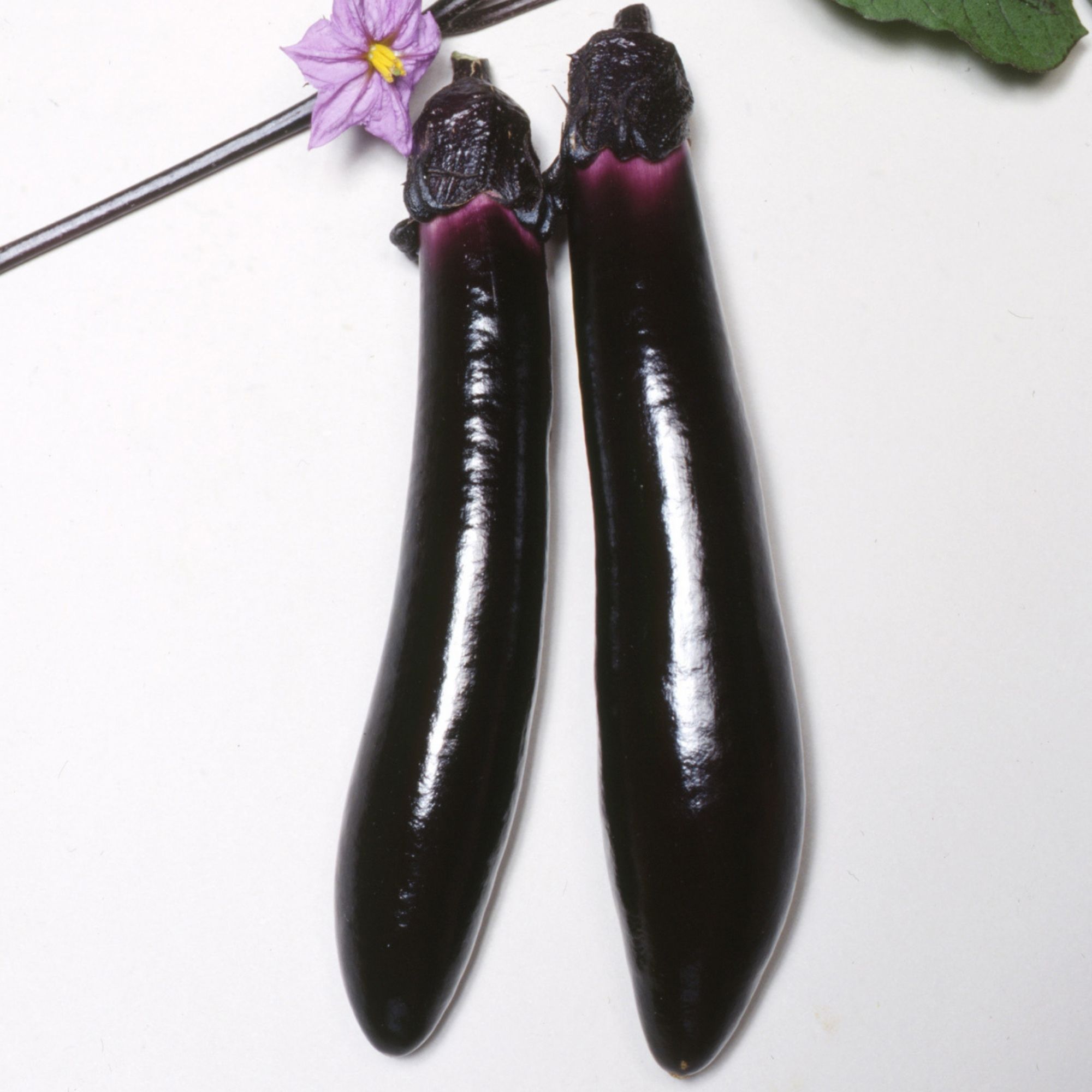 Eggplant Seeds - Kurume Long -500 Mg Packet ~117 Seeds - Non-GMO, Heirloom - Asian Garden Vegetable