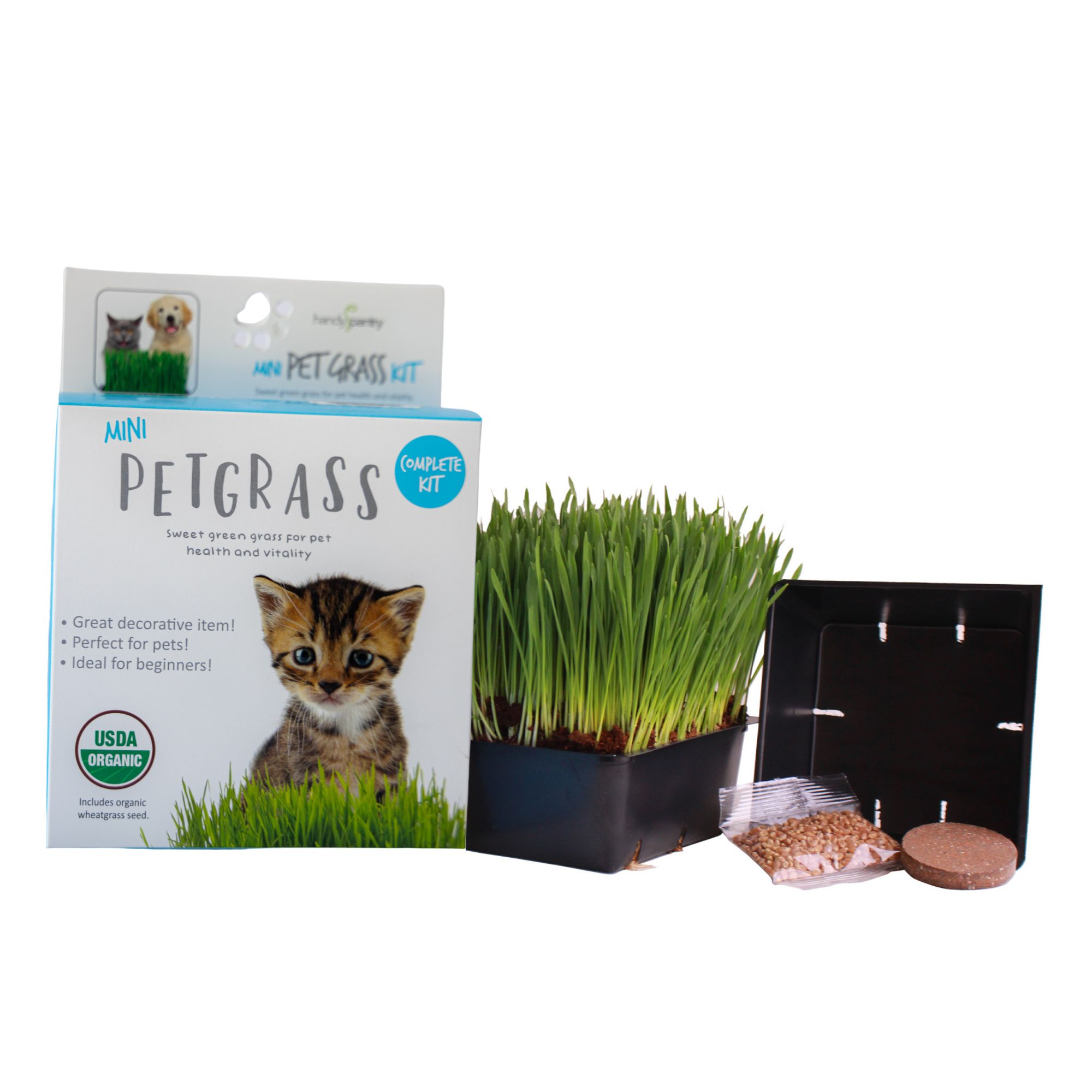 Mini Pet Grass Kit - Wheatgrass - Cat Dog Rabbit - 1 Kit