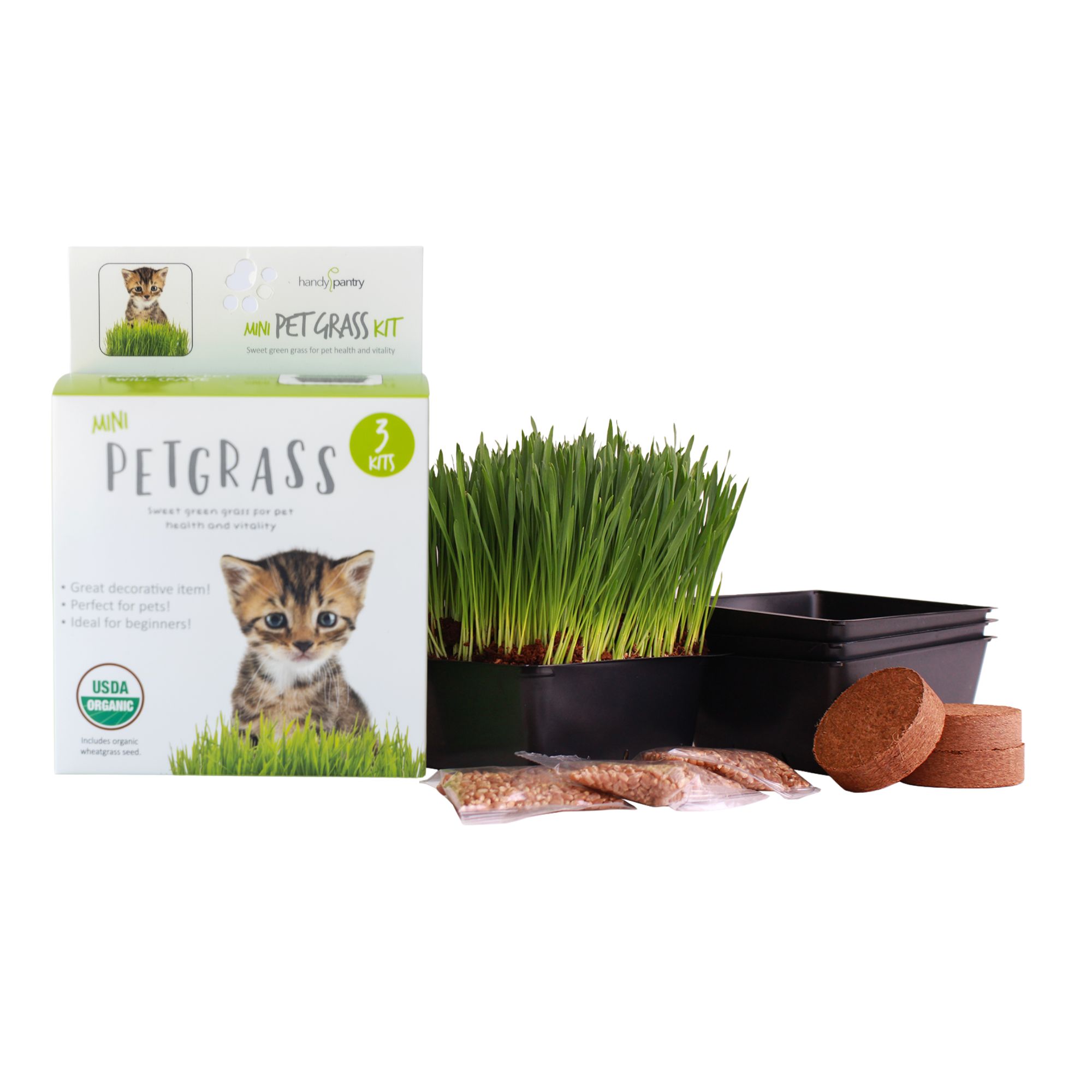 Mini Pet Grass Kit - Wheat Grass - Cat Dog Rabbit - 3 Kits