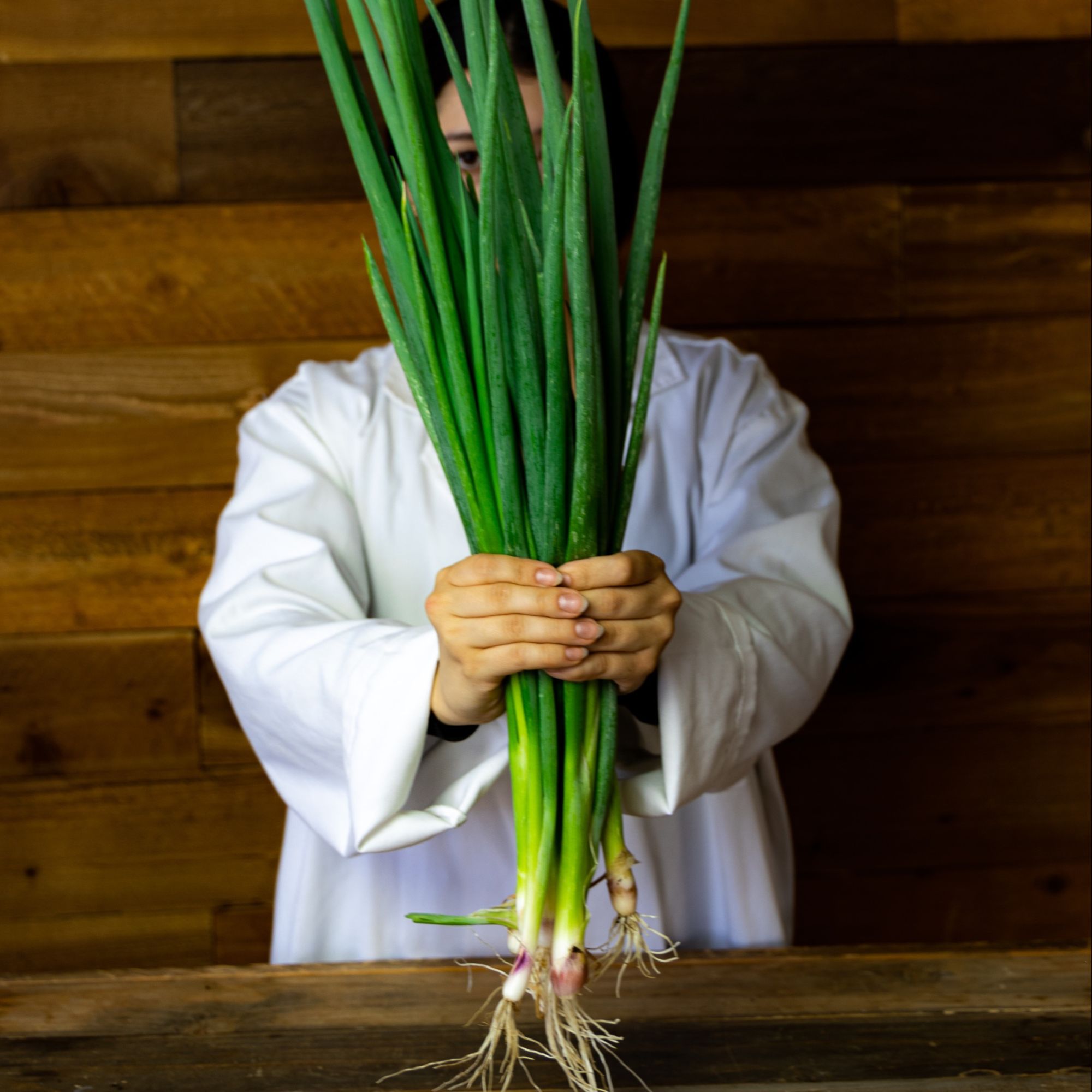 Onion Seeds - Bunching - Red Beard -3 g Packet ~1404 Seeds - Non-GMO, Heirloom - Vegetable Garden