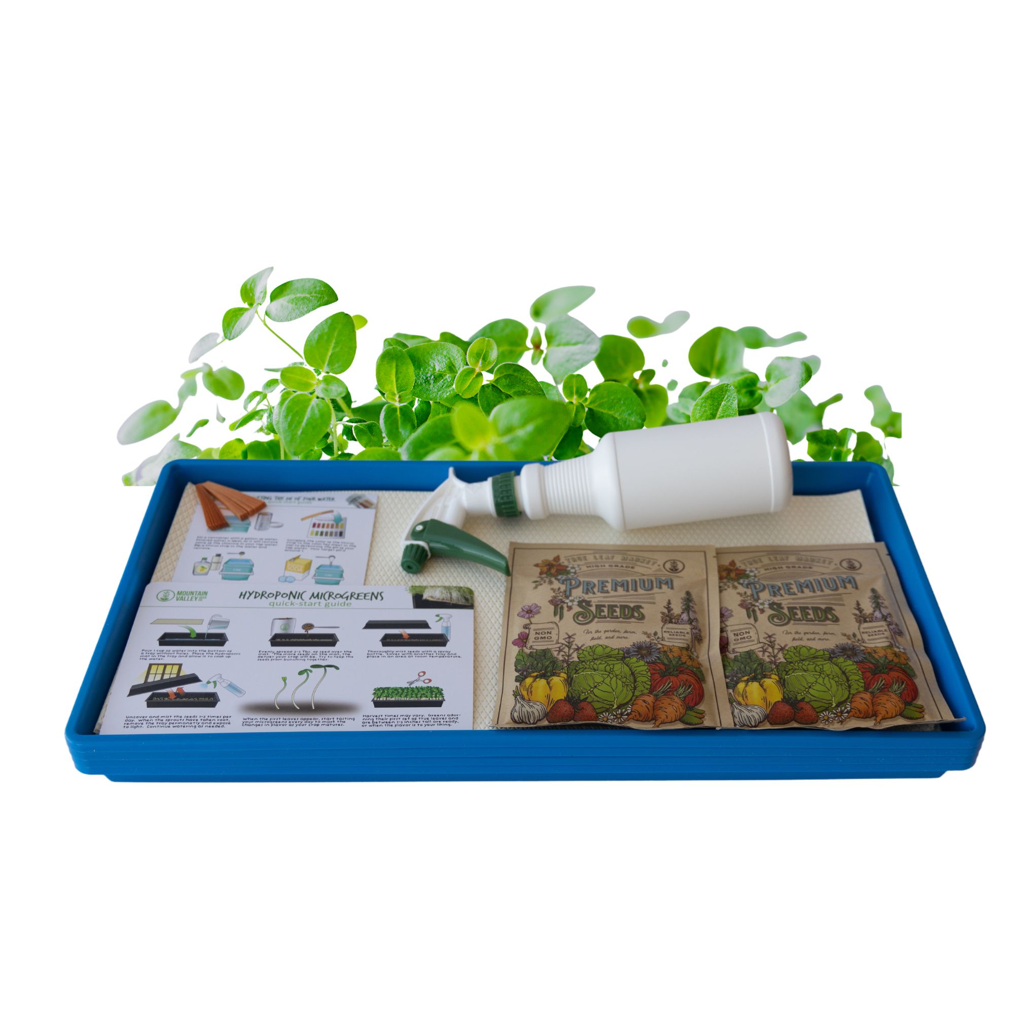 Hydroponic Chia Growing Kit - Grow Chia Micro Greens From Seeds - Buy Non-GMO Salvia hispanica Farm &amp; Gardening Seeds Online