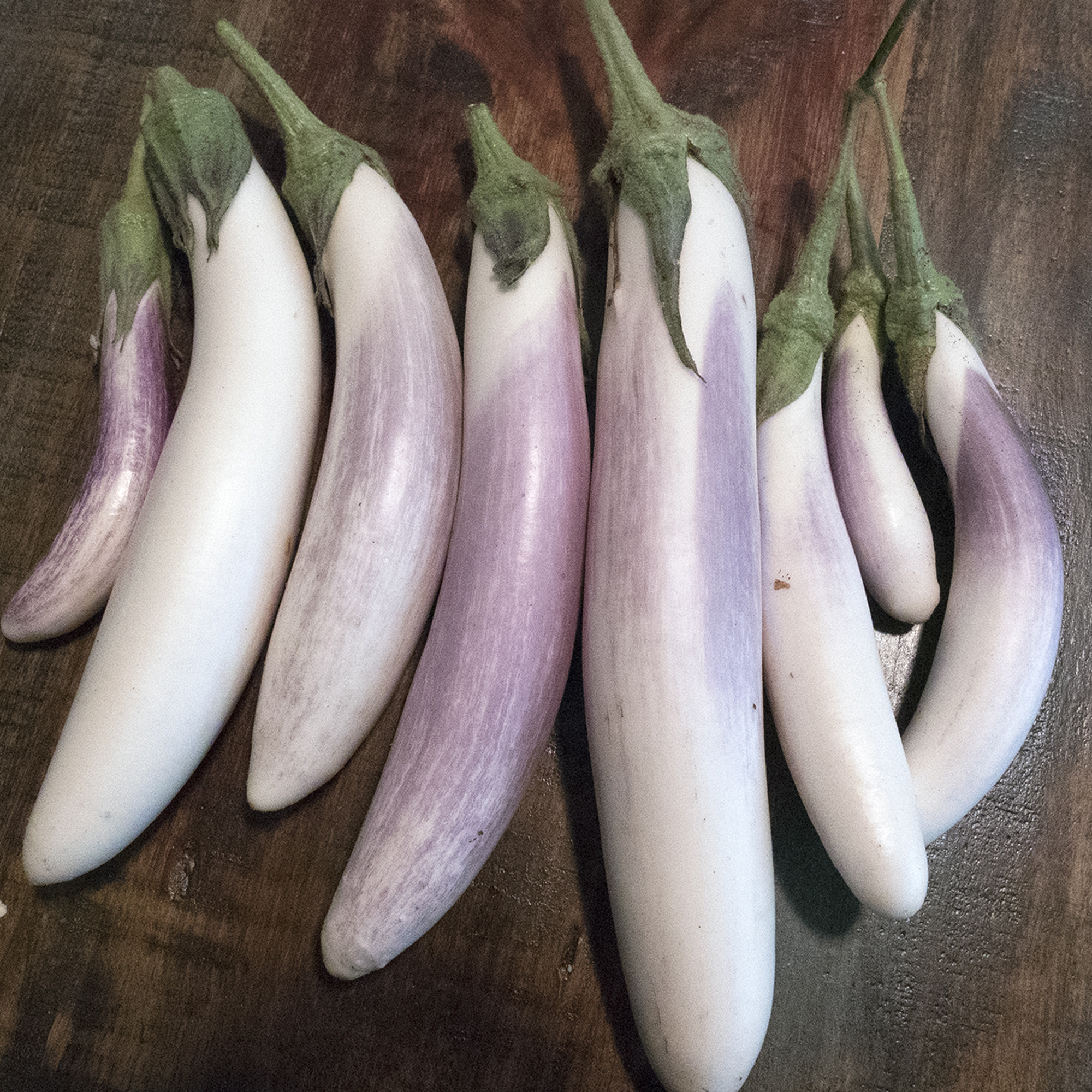 Bride F1 Hybrid Eggplant Seeds - 1 Oz - Vegetable Garden