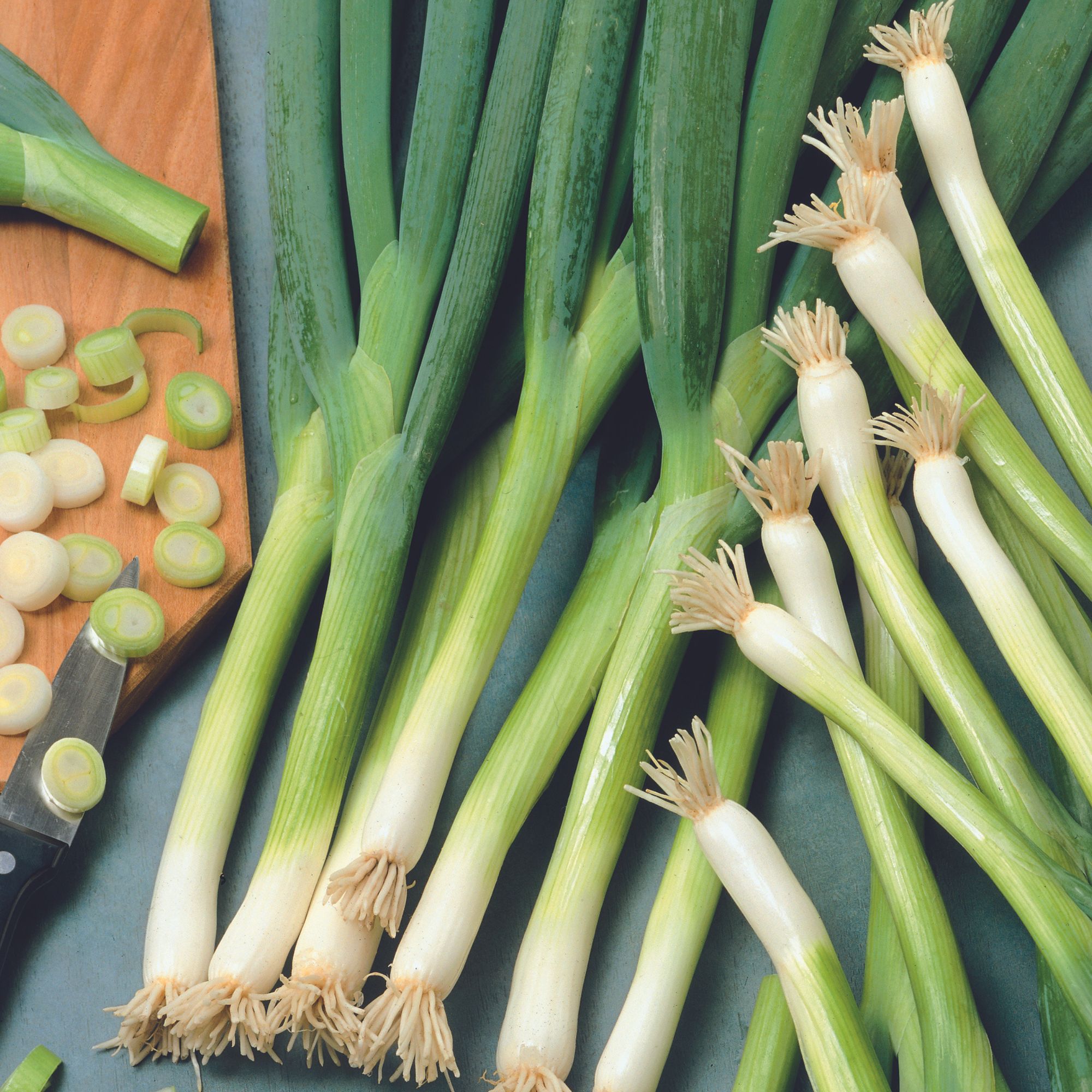 Organic White Ishikura Bunching Onion Seeds for Planting - 3 g Packet ~1,905 Seeds - Asian Garden Seeds