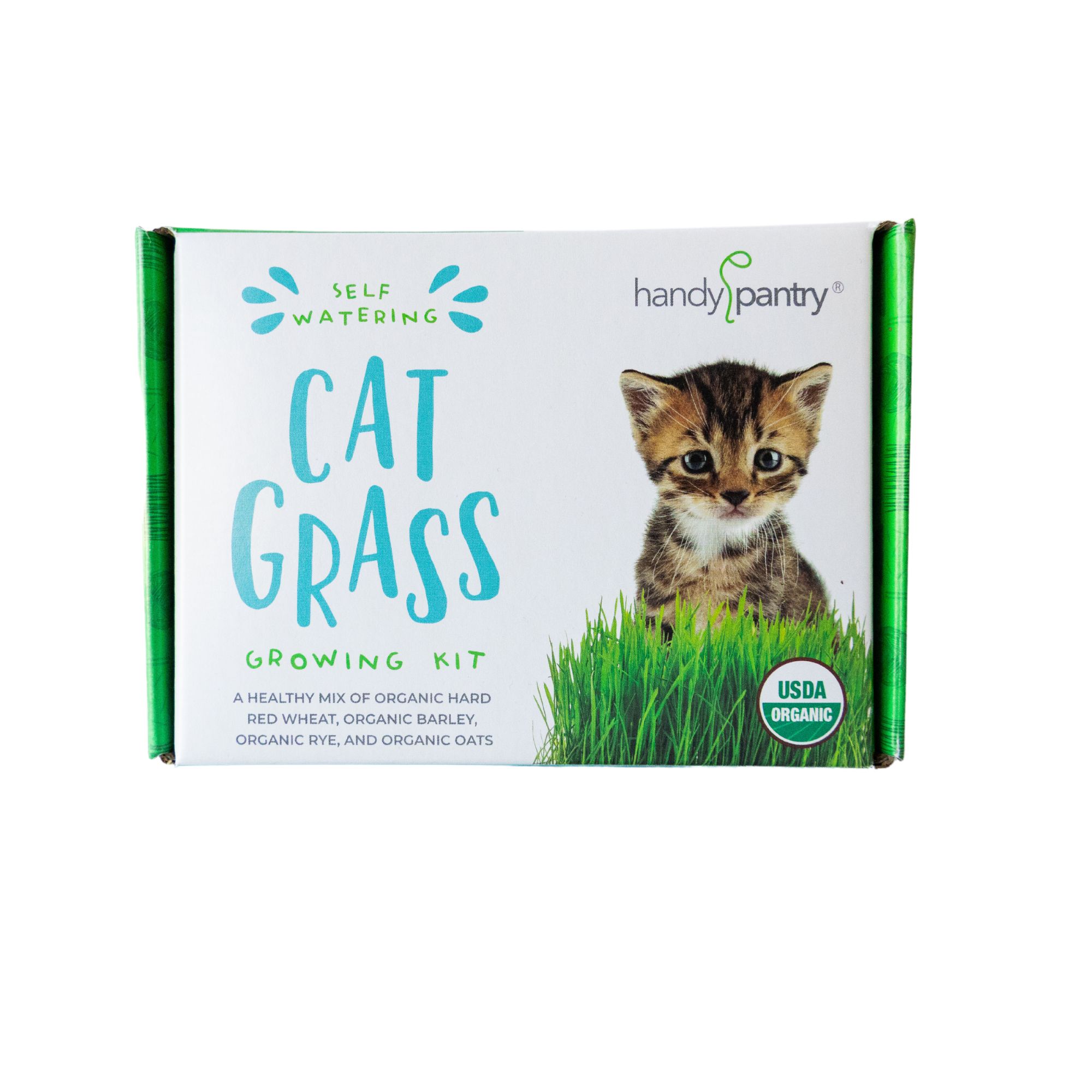 Organic Cat Grass Growing Kit - Easy Self Watering Pet Grass System - Includes Enough Organic Cat Grass for 3 Grows, Self Wateri