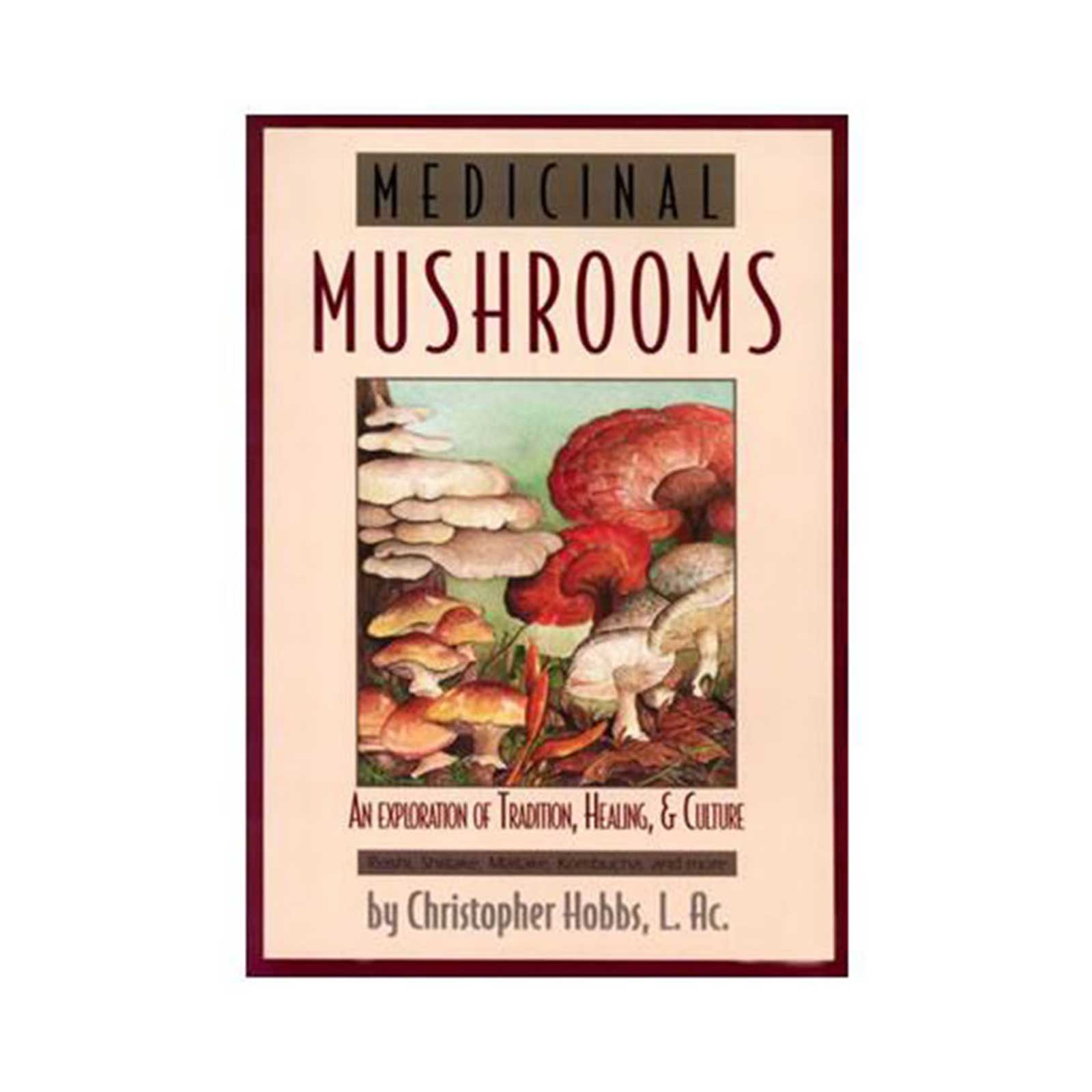 Book - Medicinal Mushrooms by Christopher Hobbs