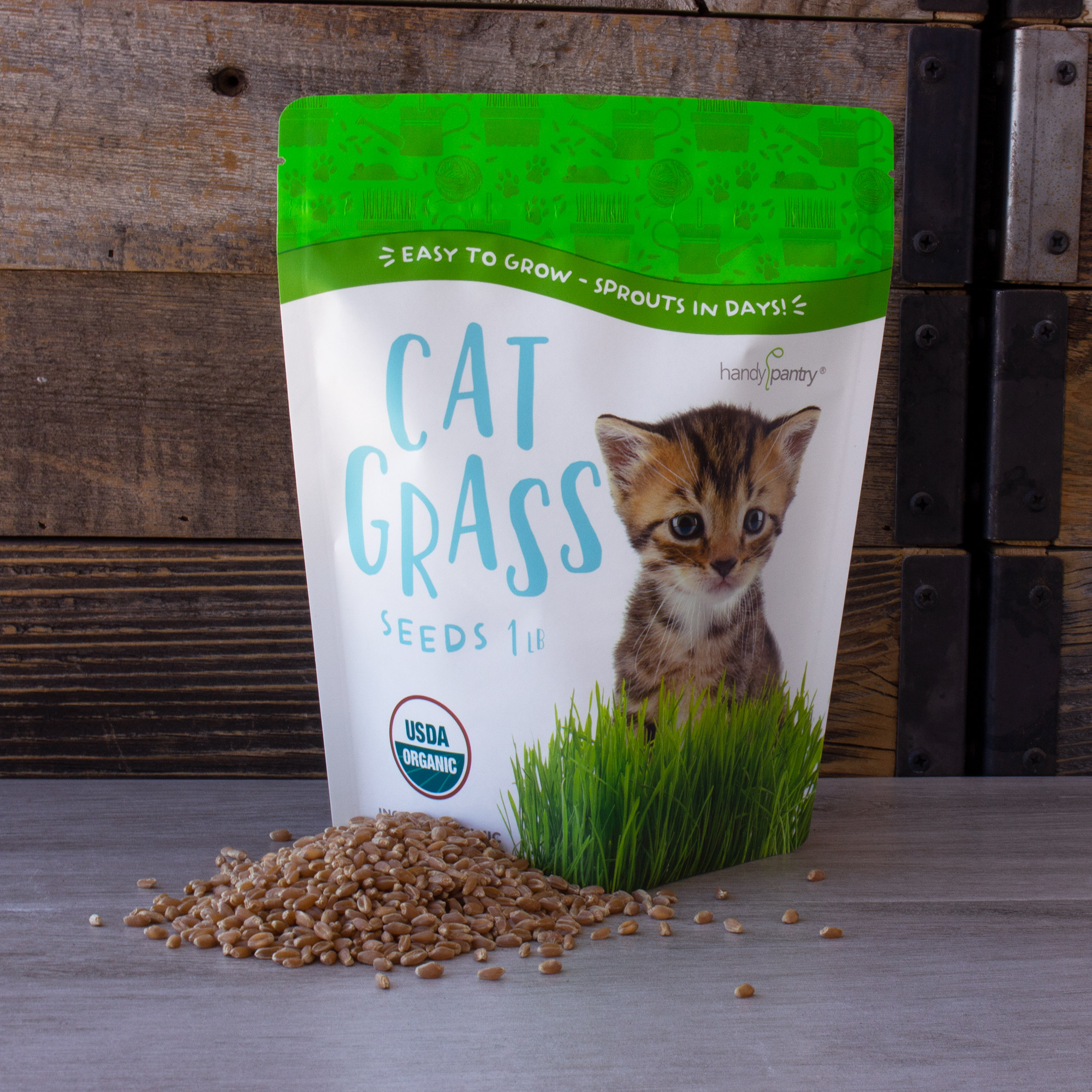 Certified Organic Cat Grass Seeds - 12 Oz - Wheatgrass Seeds for Cats, Dogs - Buy Non-GMO Triticum aestivum Farm &amp; Gardening See